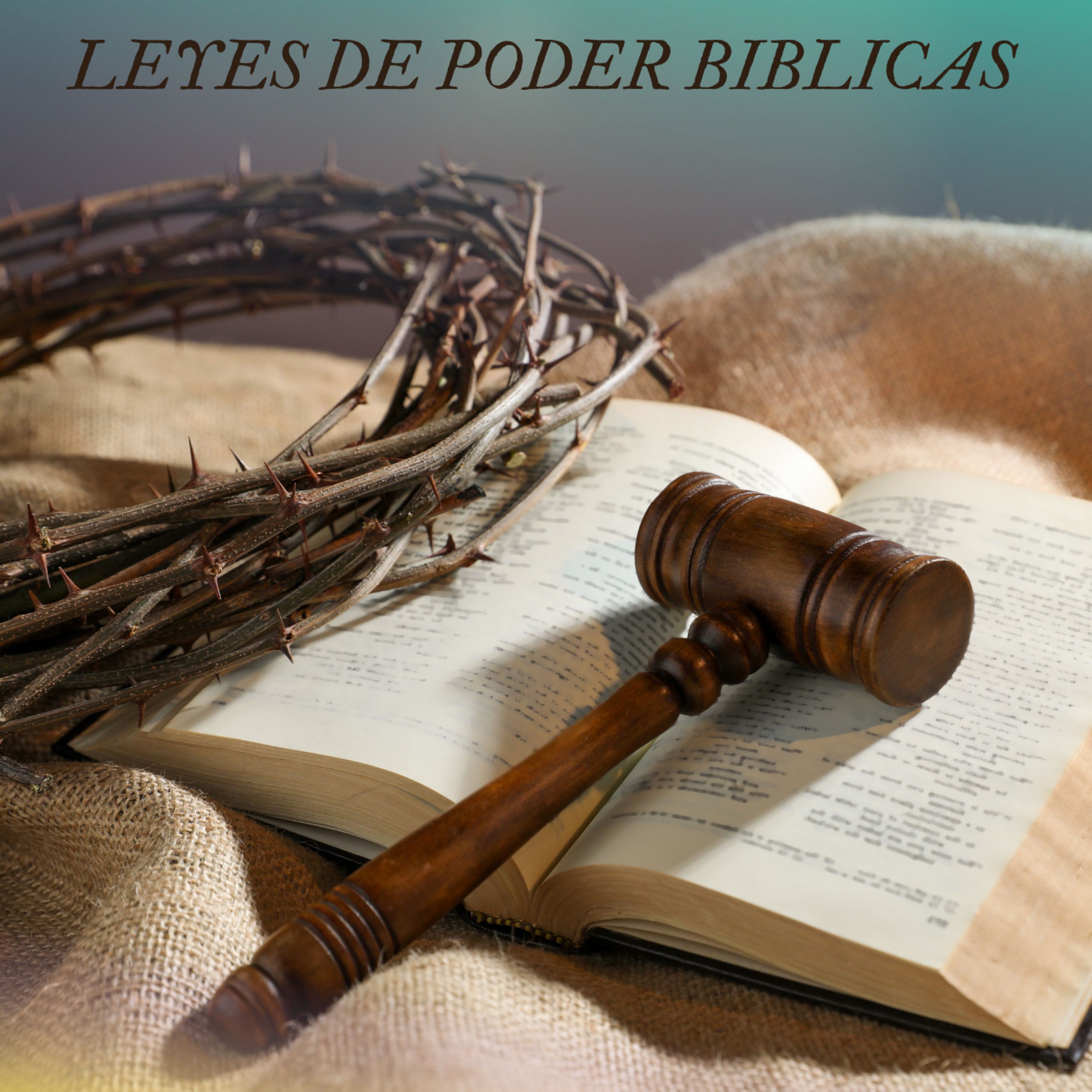 Portada de IGLESIA ONE FAMILY
