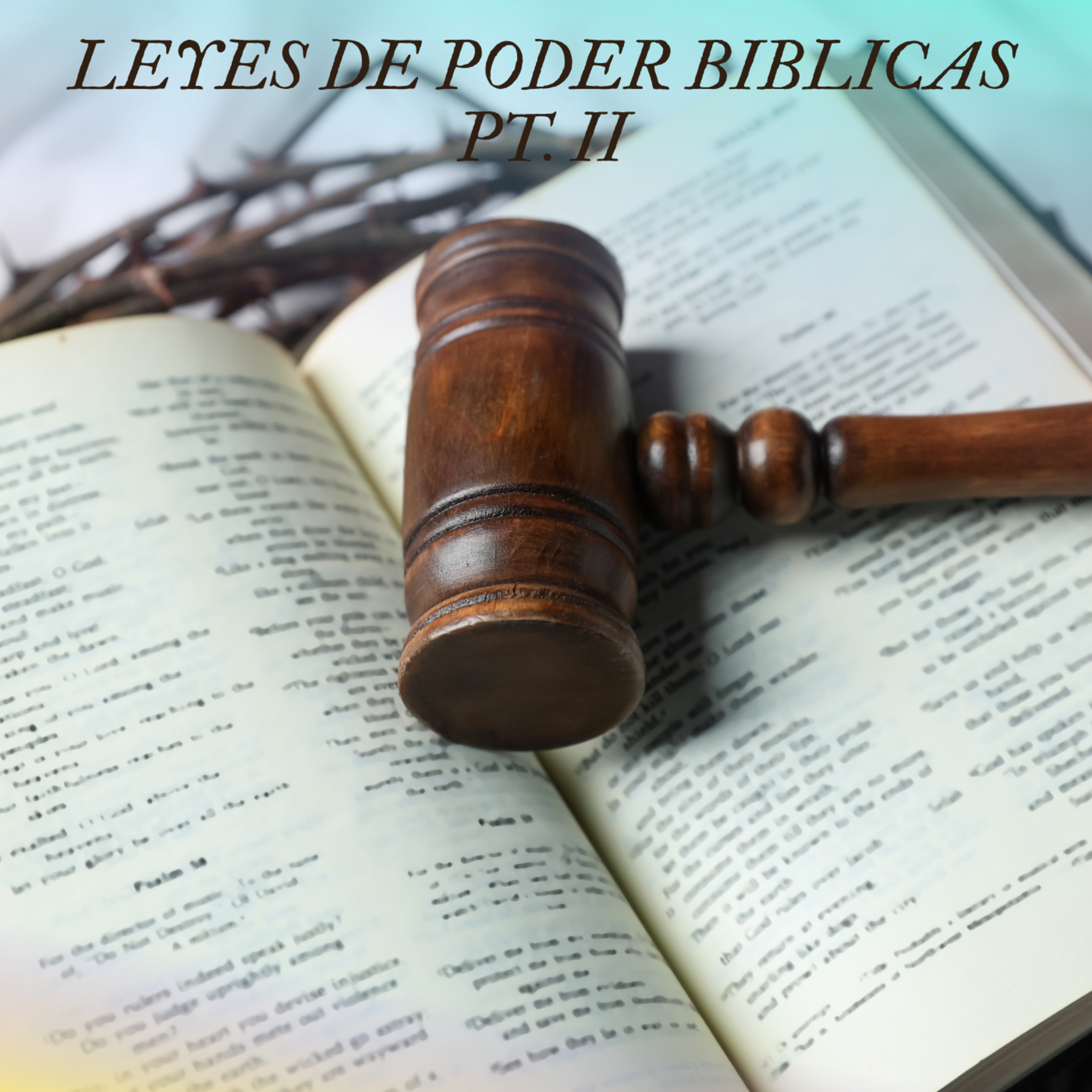 Portada de IGLESIA ONE FAMILY