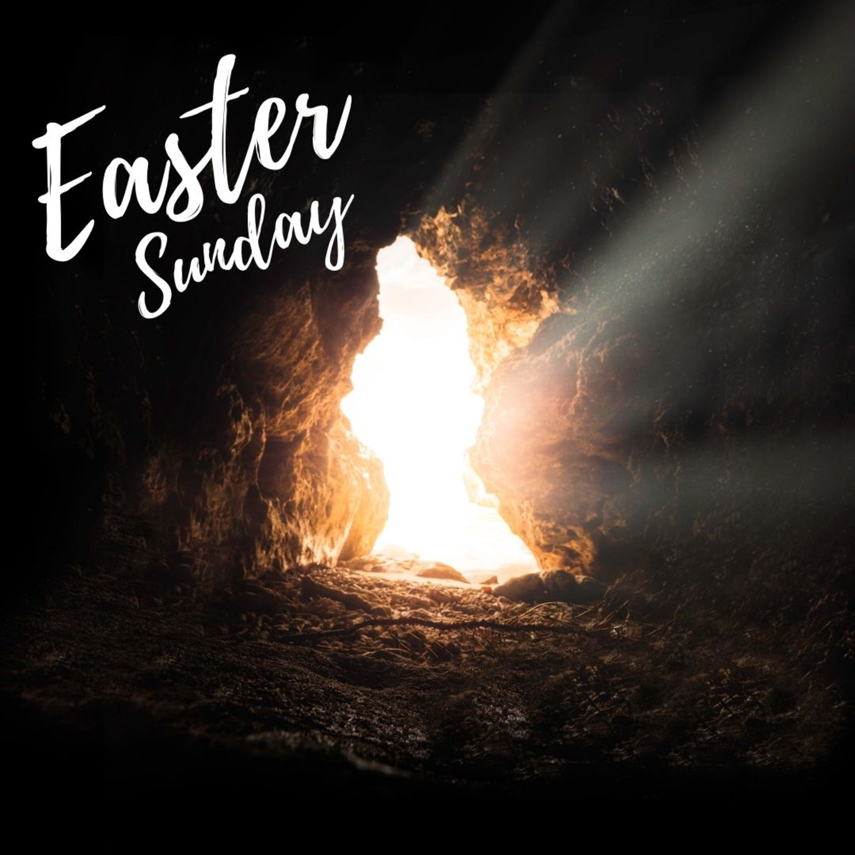 Living in the Light of Resurrection || Easter Sunday episode artwork