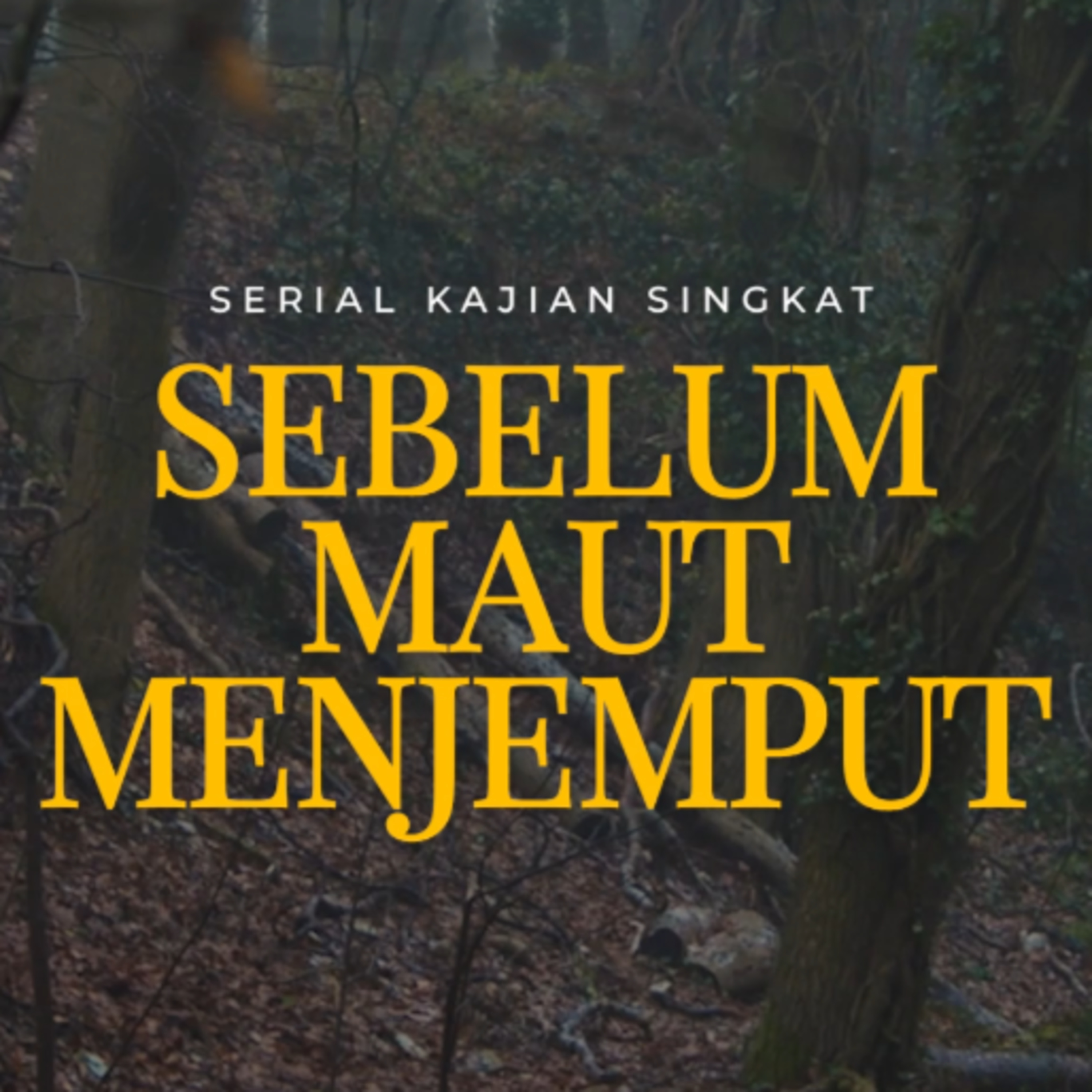 Sebelum Maut Menjemput - Ustadz Dr. Firanda Andirja M.A episode artwork
