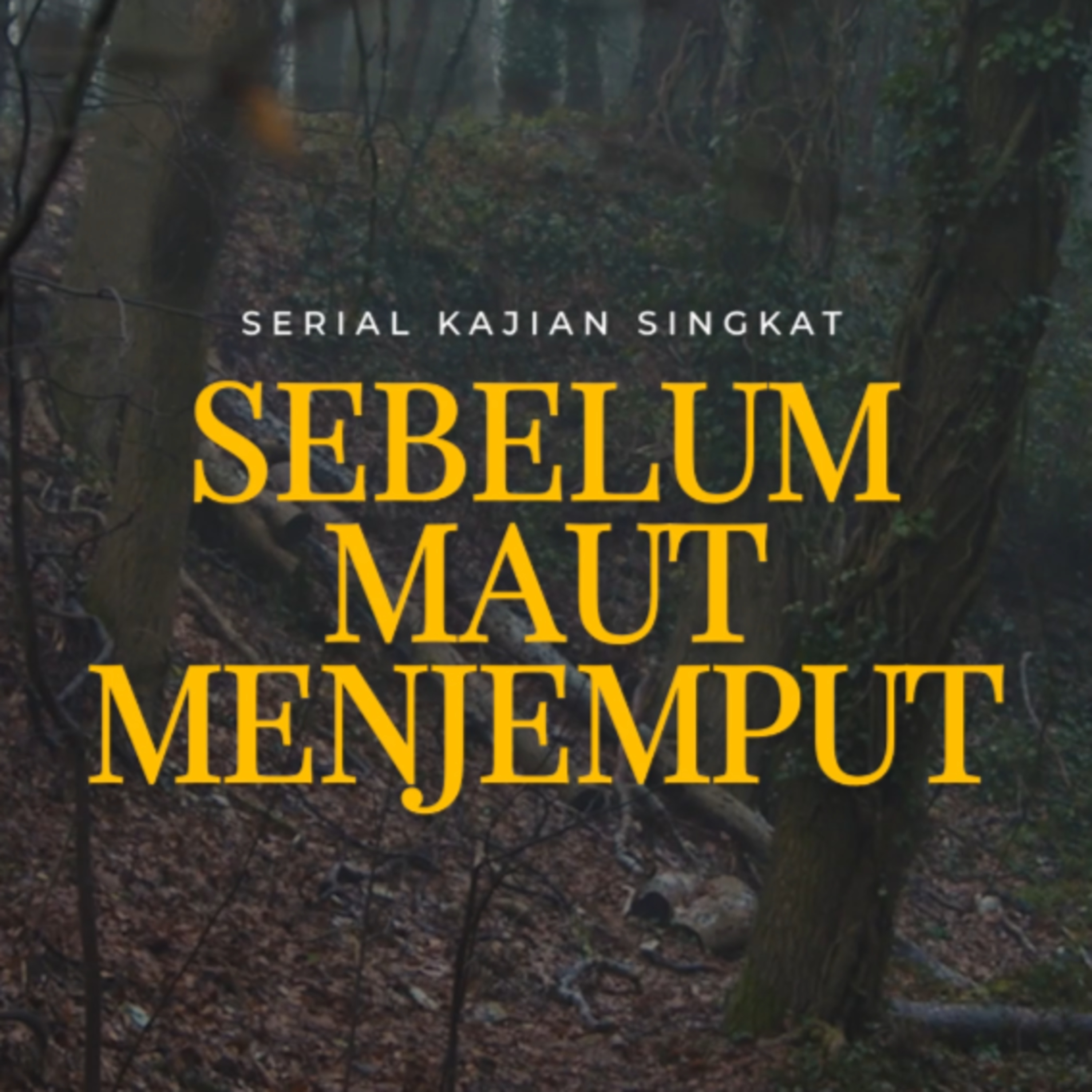 Sebelum Maut Menjemput - Ustadz Dr. Firanda Andirja M.A episode artwork