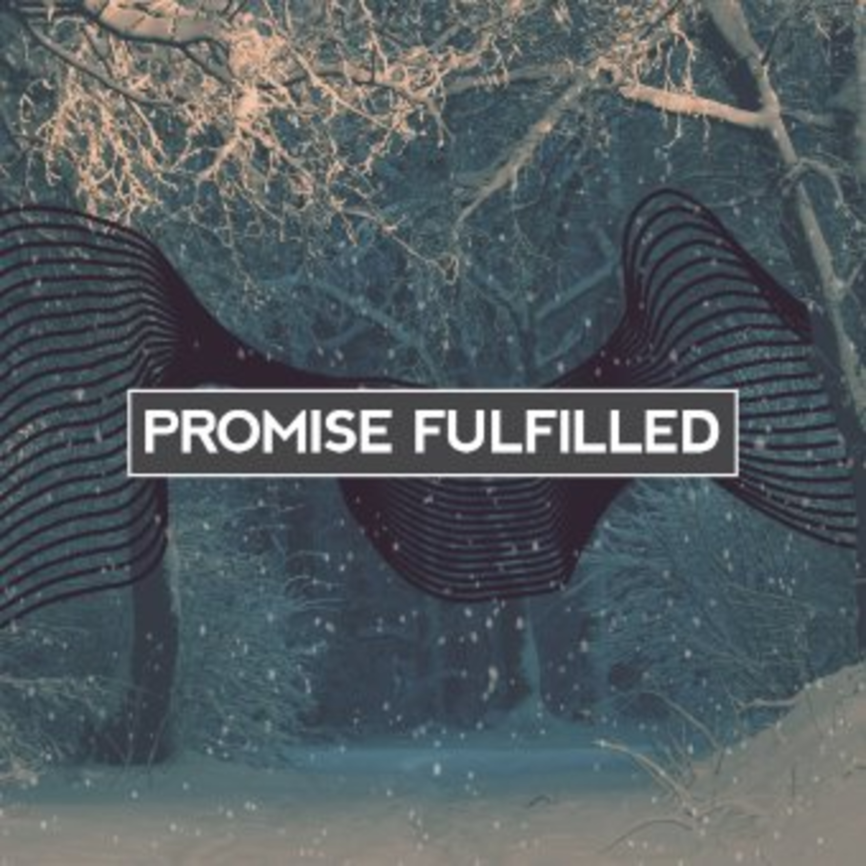 Encounter the Truth - The Son Who Fulfils All Righteousness (Part 1 of 2)