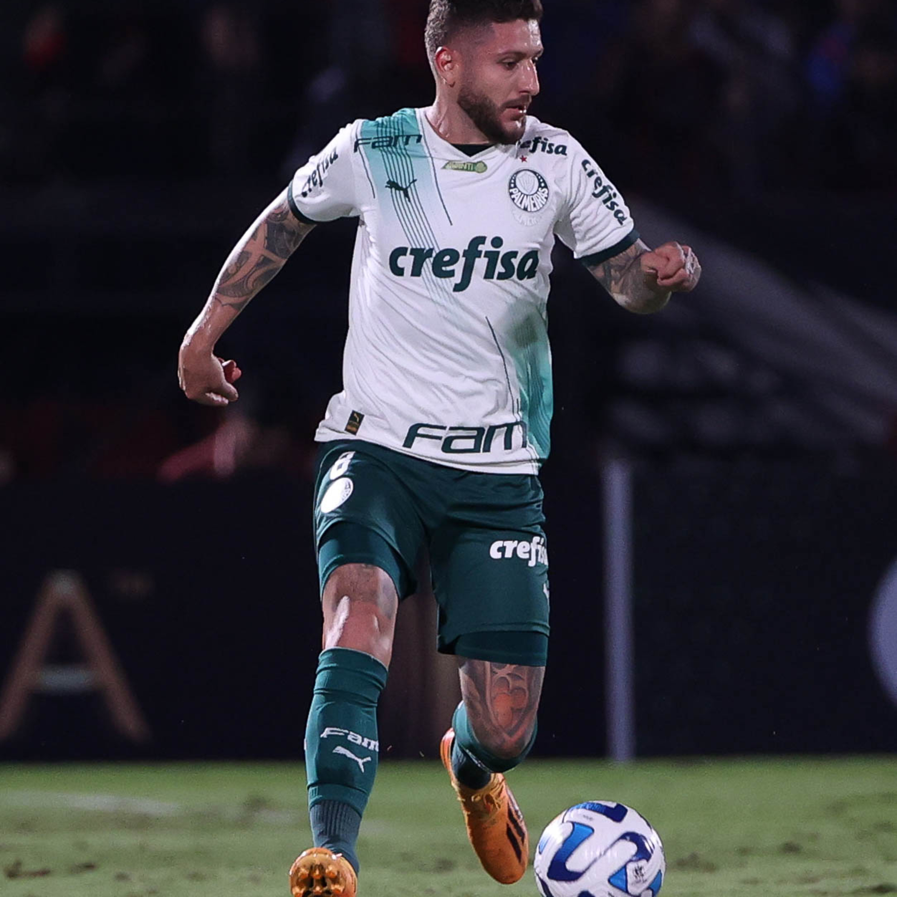 Coluna Palmeiras #115 - Vitória na Libertadores, encaminhando classificação episode artwork