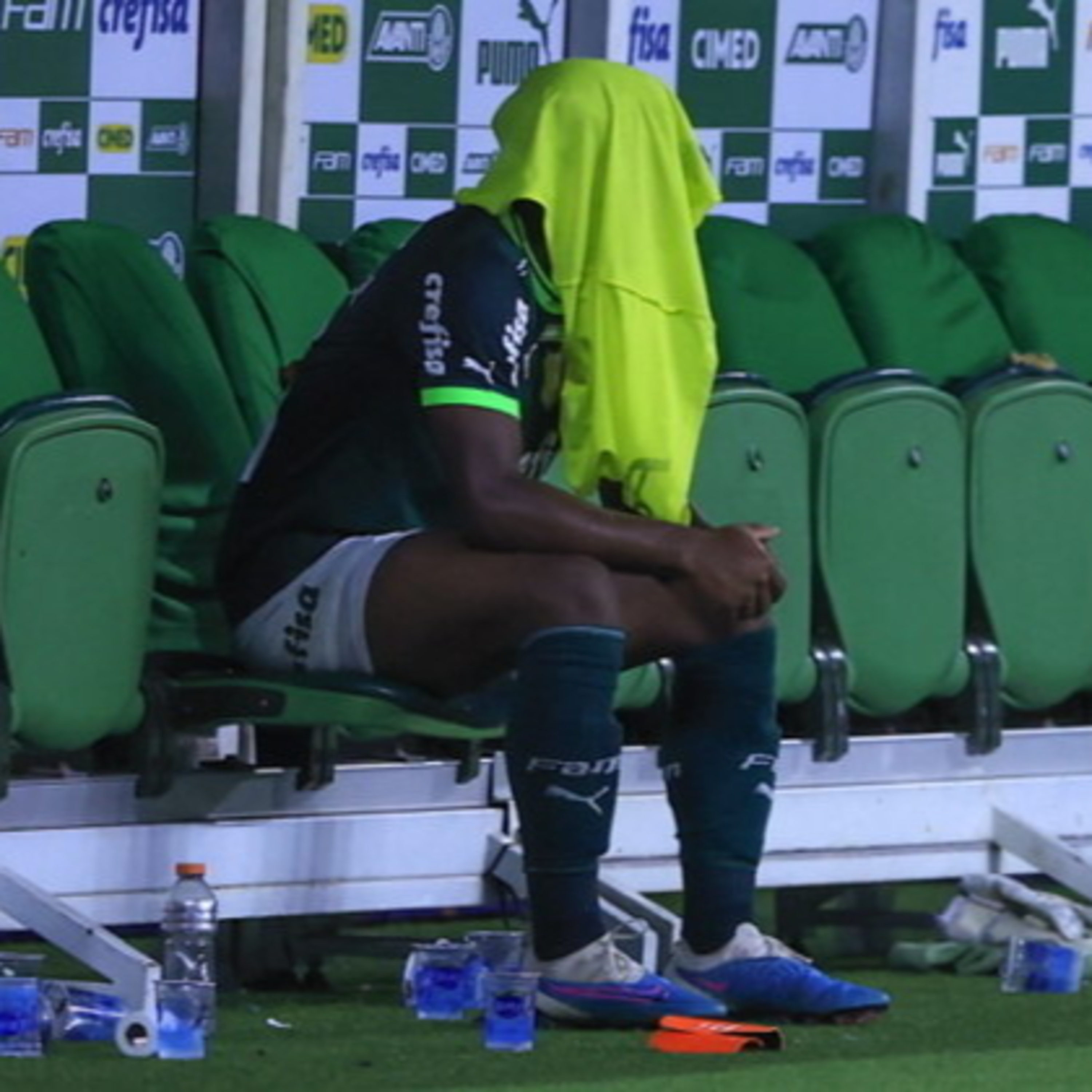 Coluna Palmeiras #136 - Coisas a serem ditas durante uma data Fifa