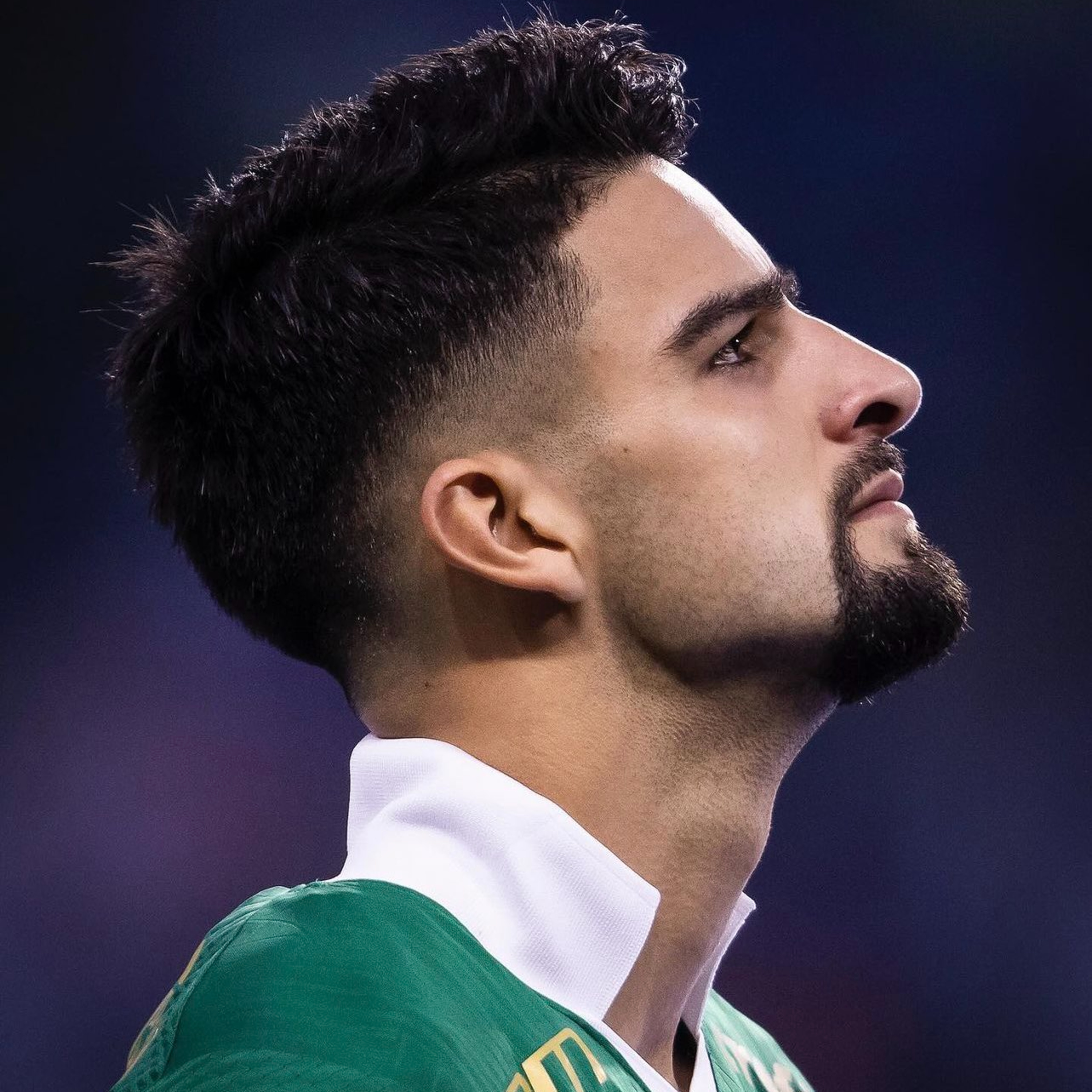 Coluna Palmeiras #166 - Tropeço numa grande pedra
