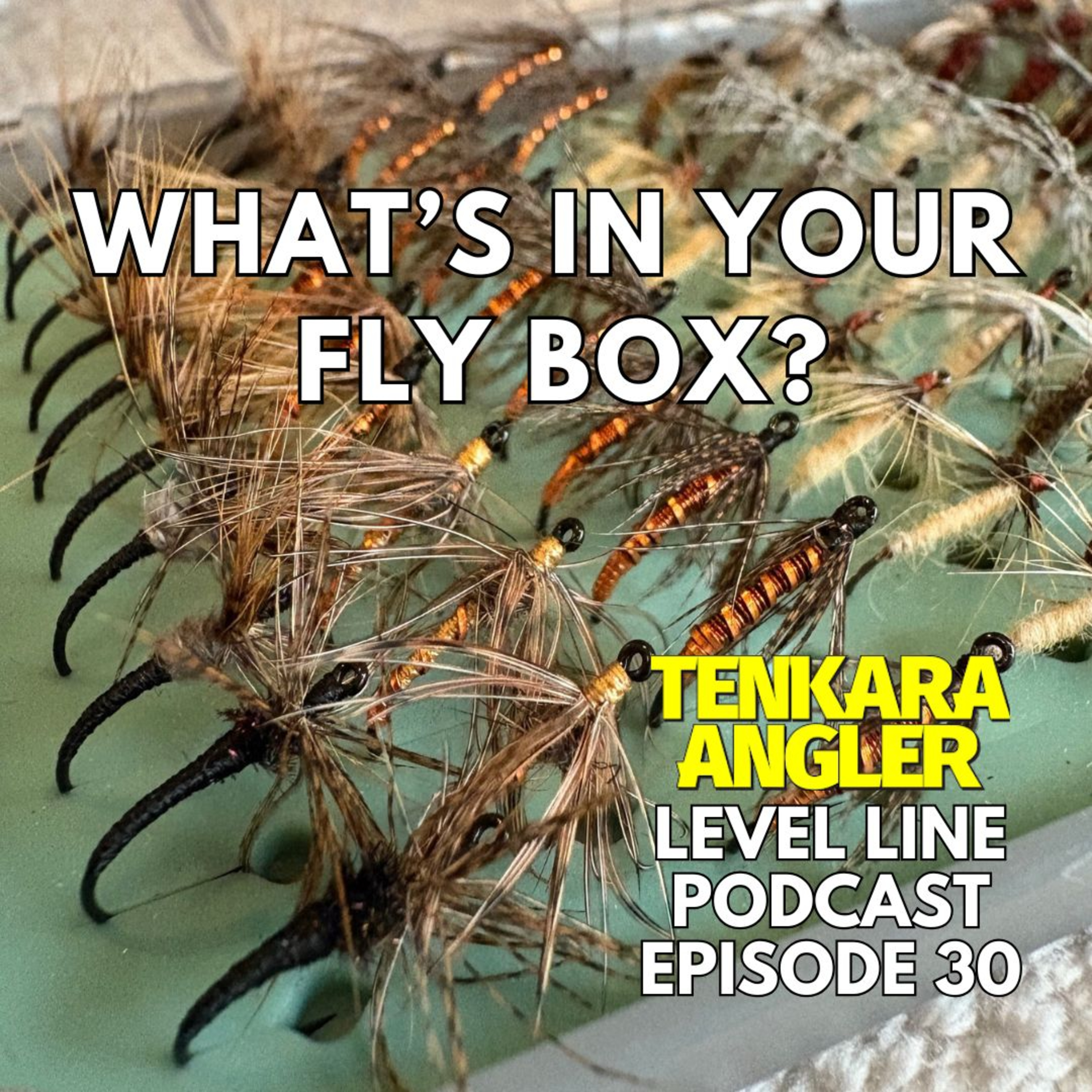 Ep. 30: What's in Your Fly Box?