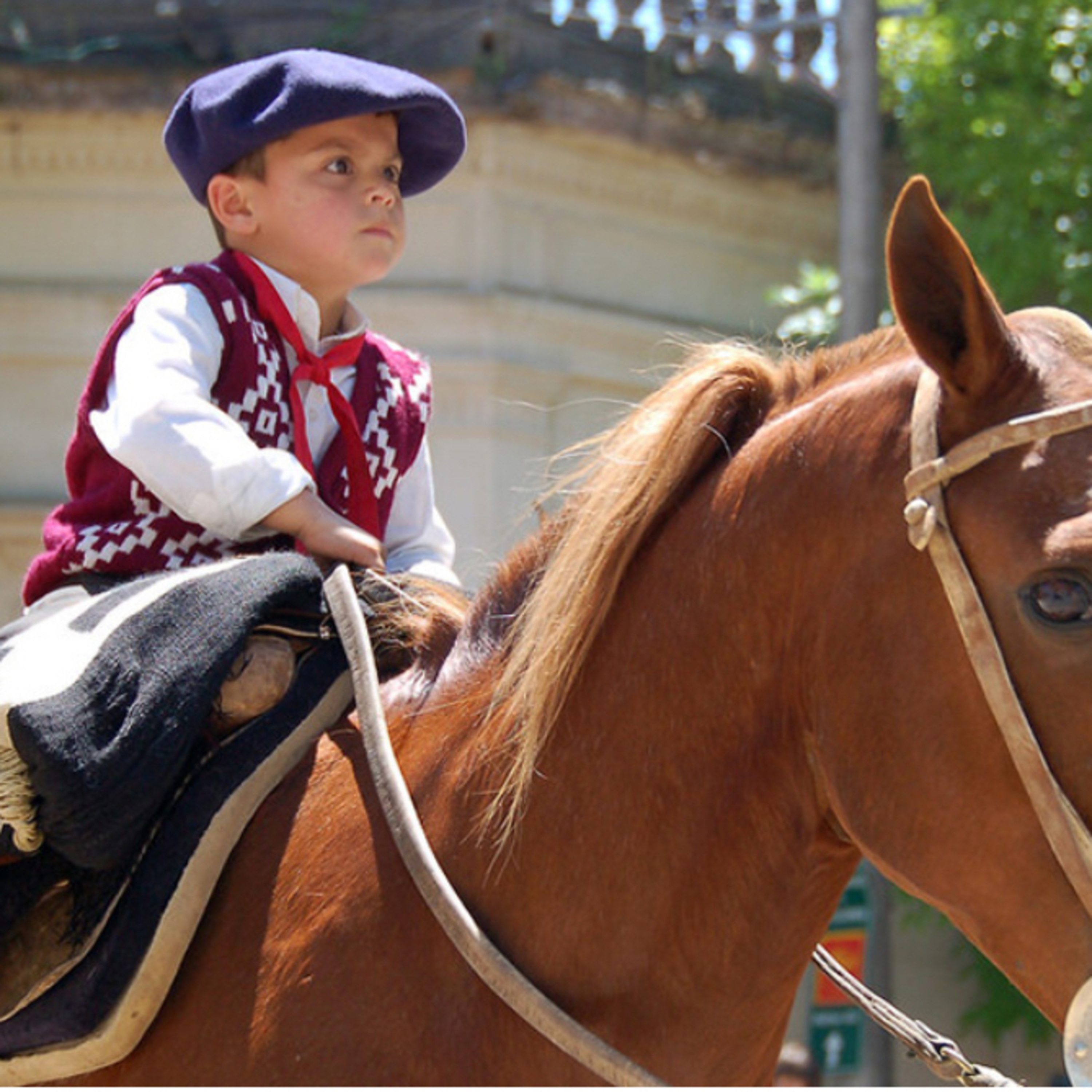 Cómo aprendí a andar a caballo