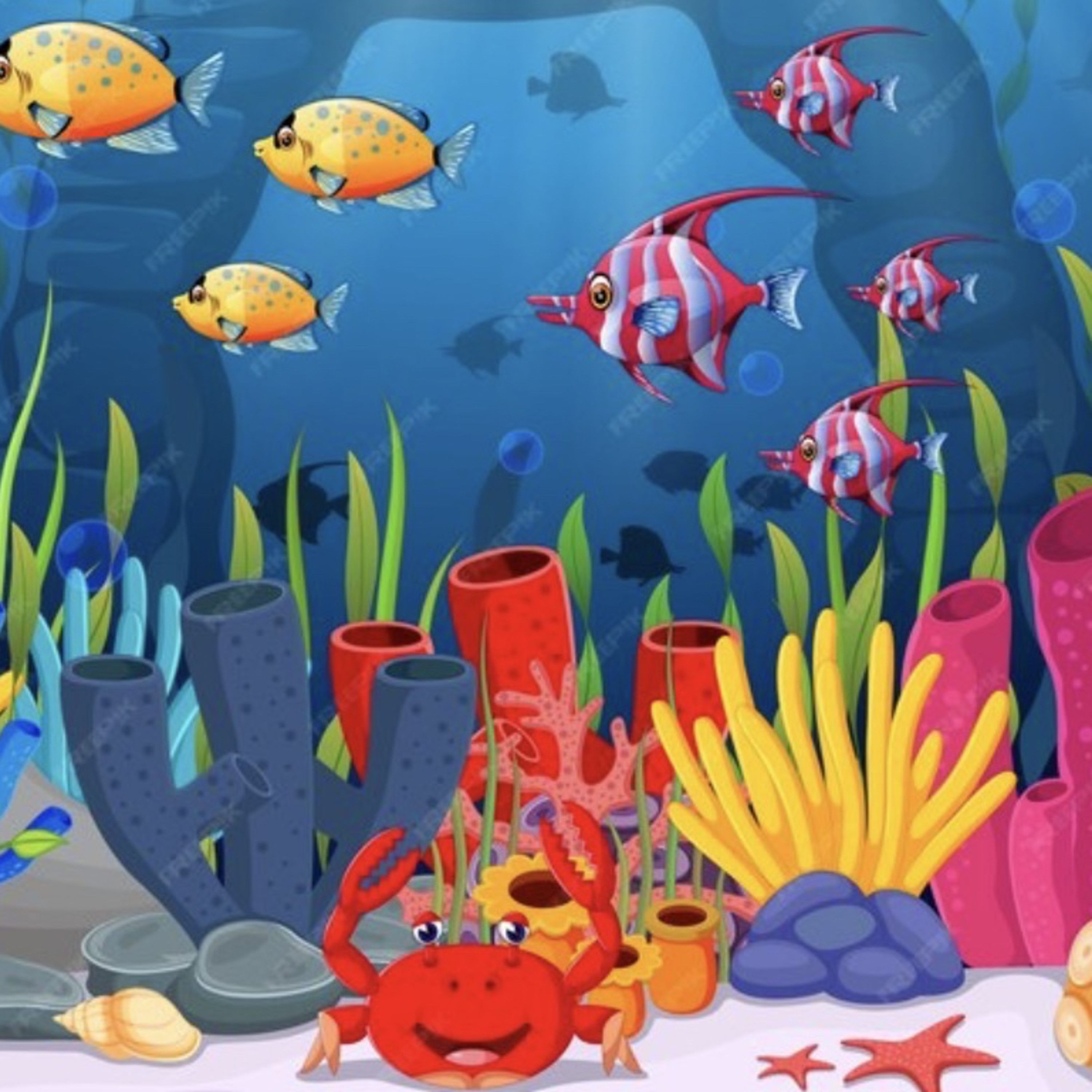 El sol, la luna y el agua 