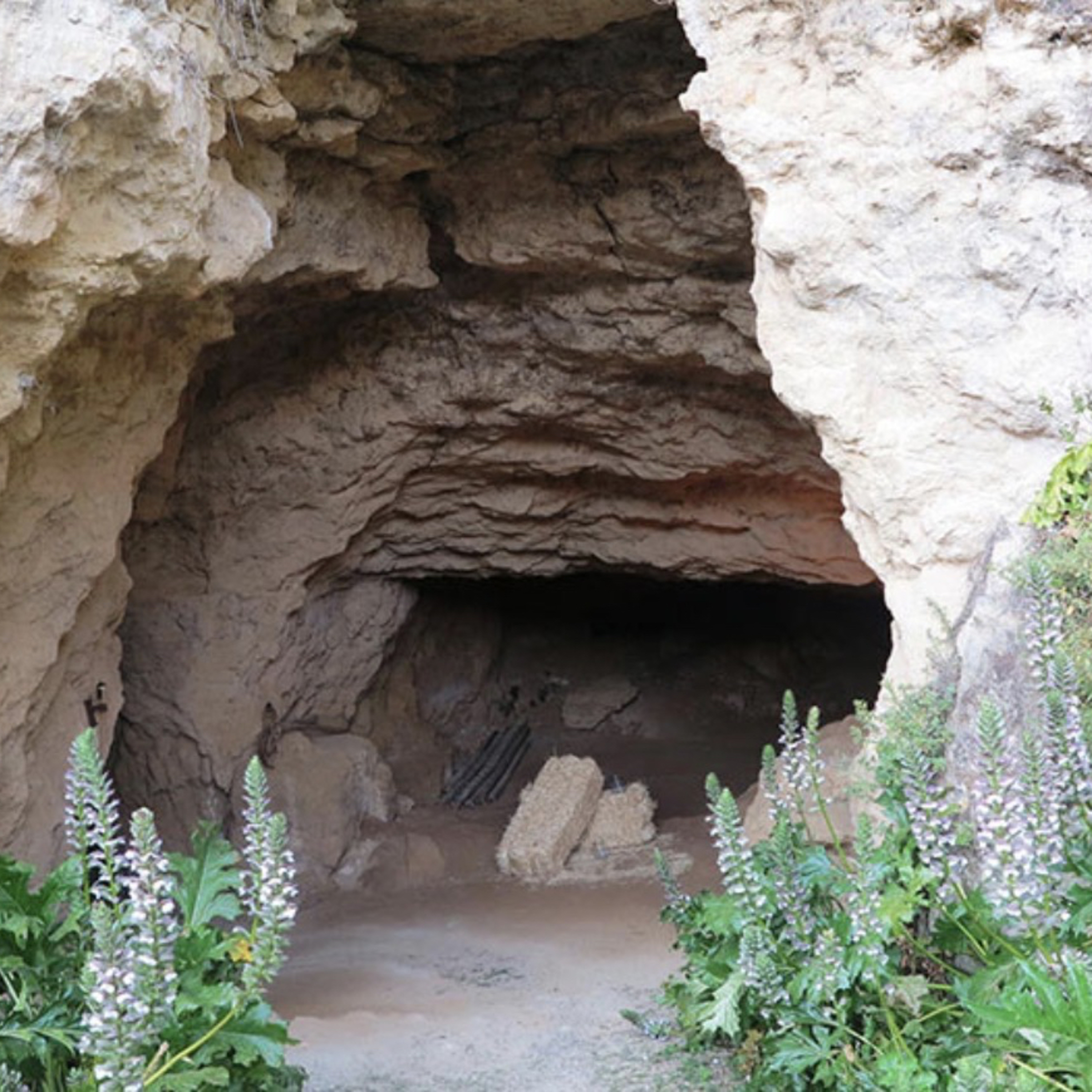 El gigante del río Kollon- kura