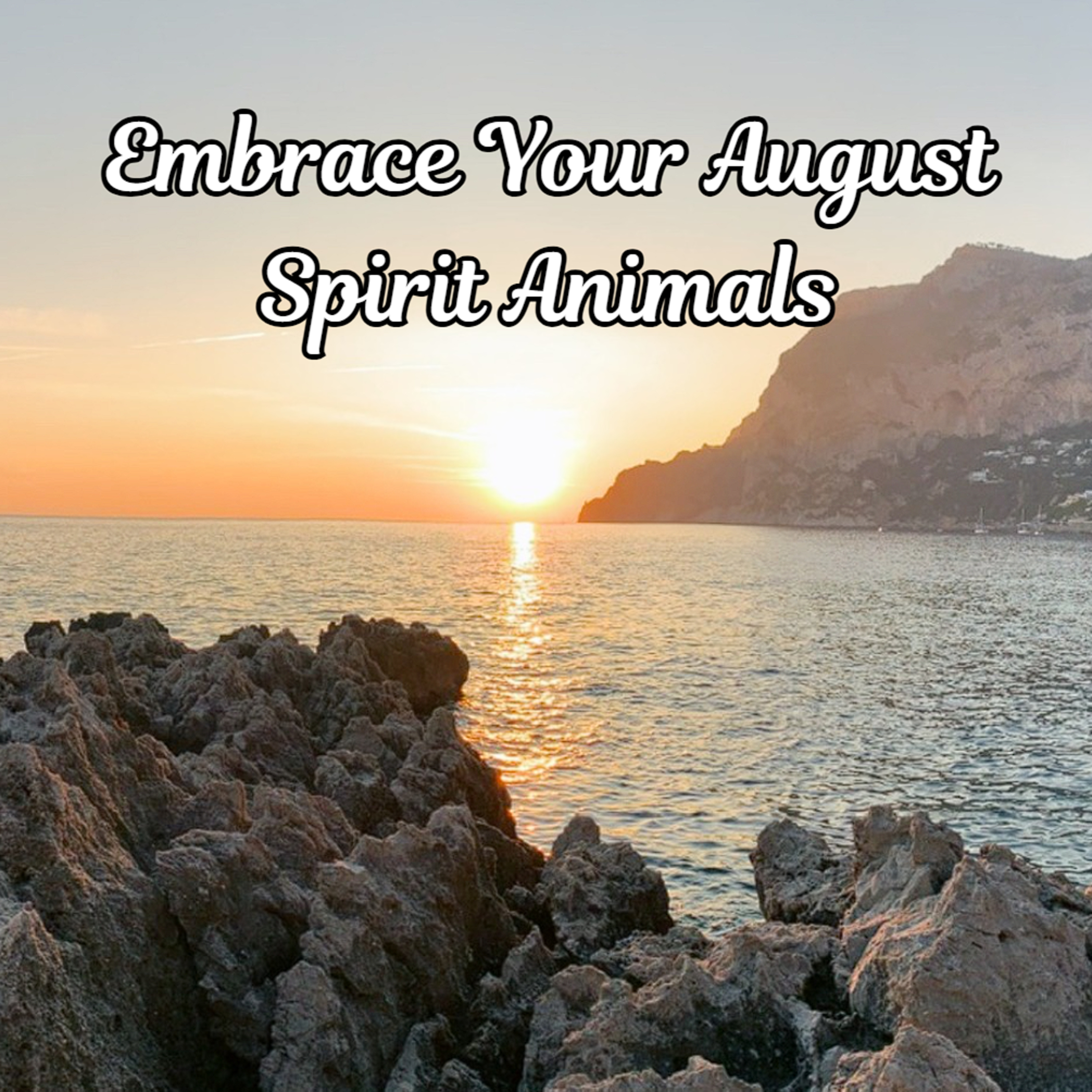 Robin S. Pollak | Trust Your Intuition