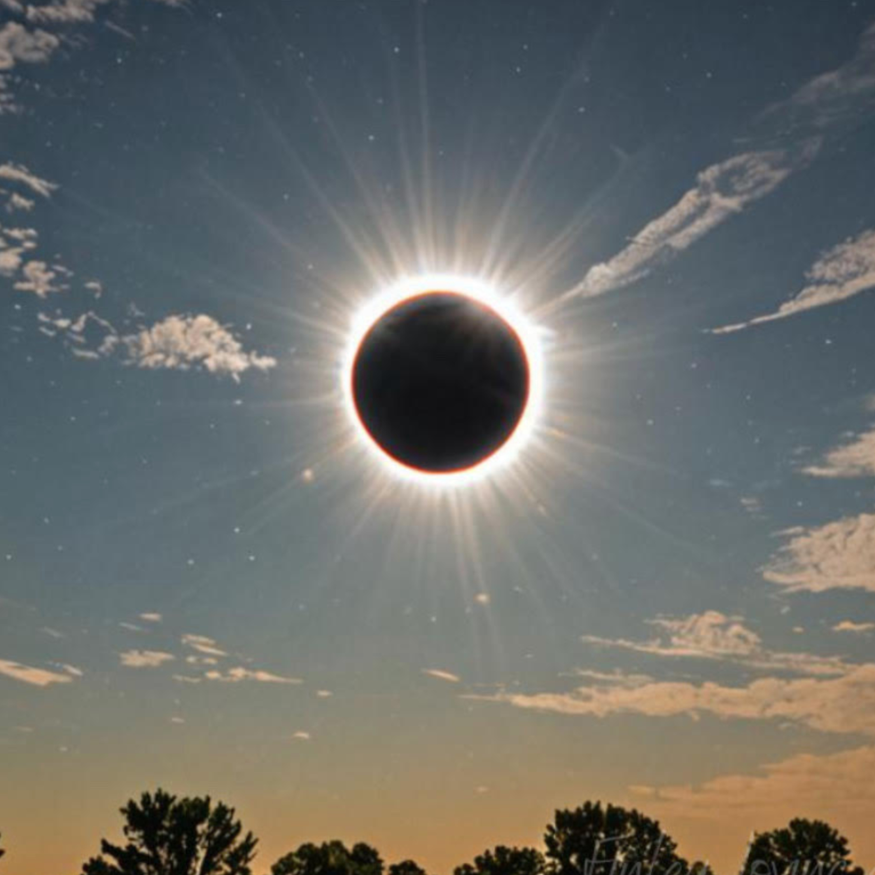 Robin S. Pollak | Trust Your Intuition