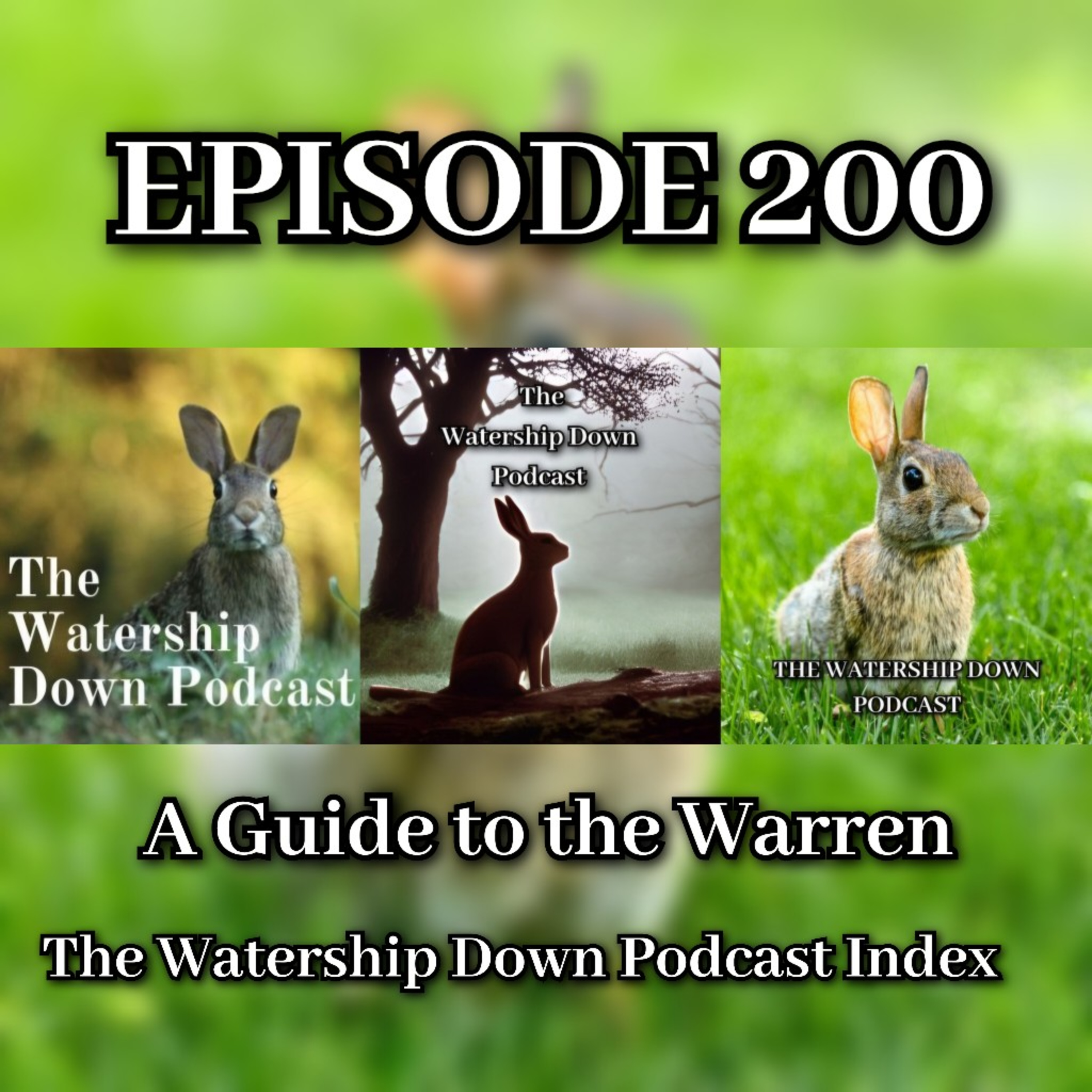 The Watership Down Podcast