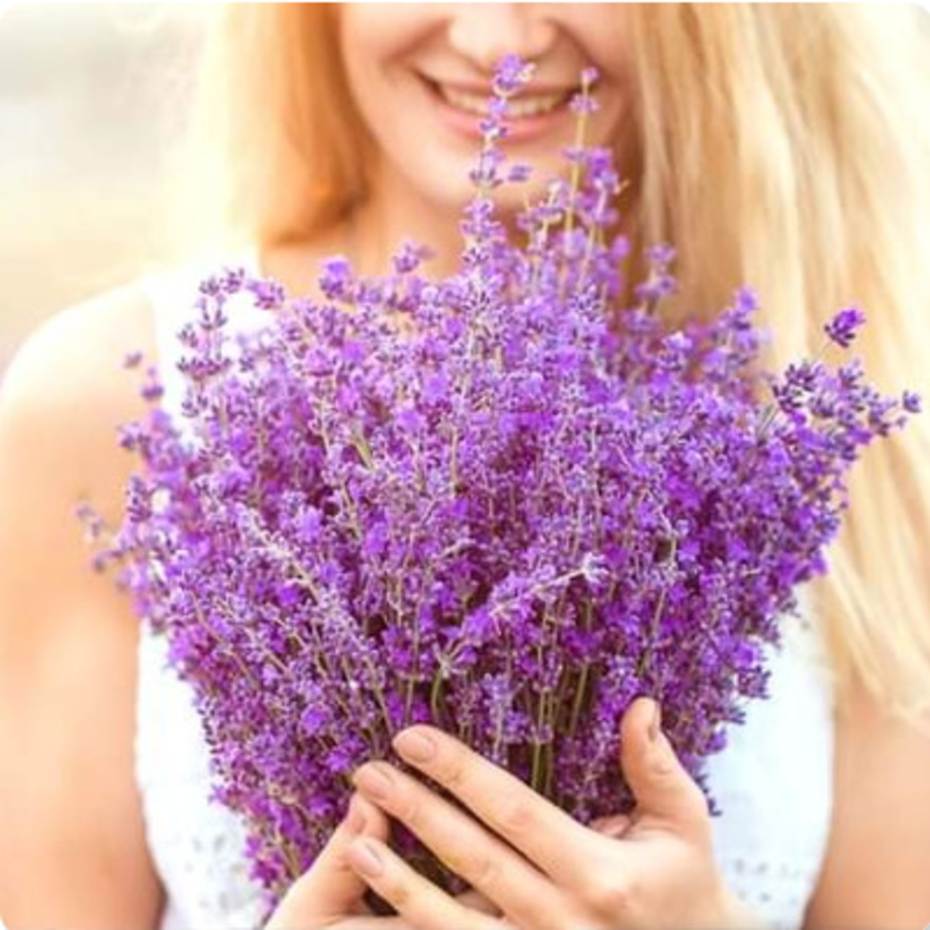 Lavanda: A Essência Cosmética do Relaxamento  episode artwork