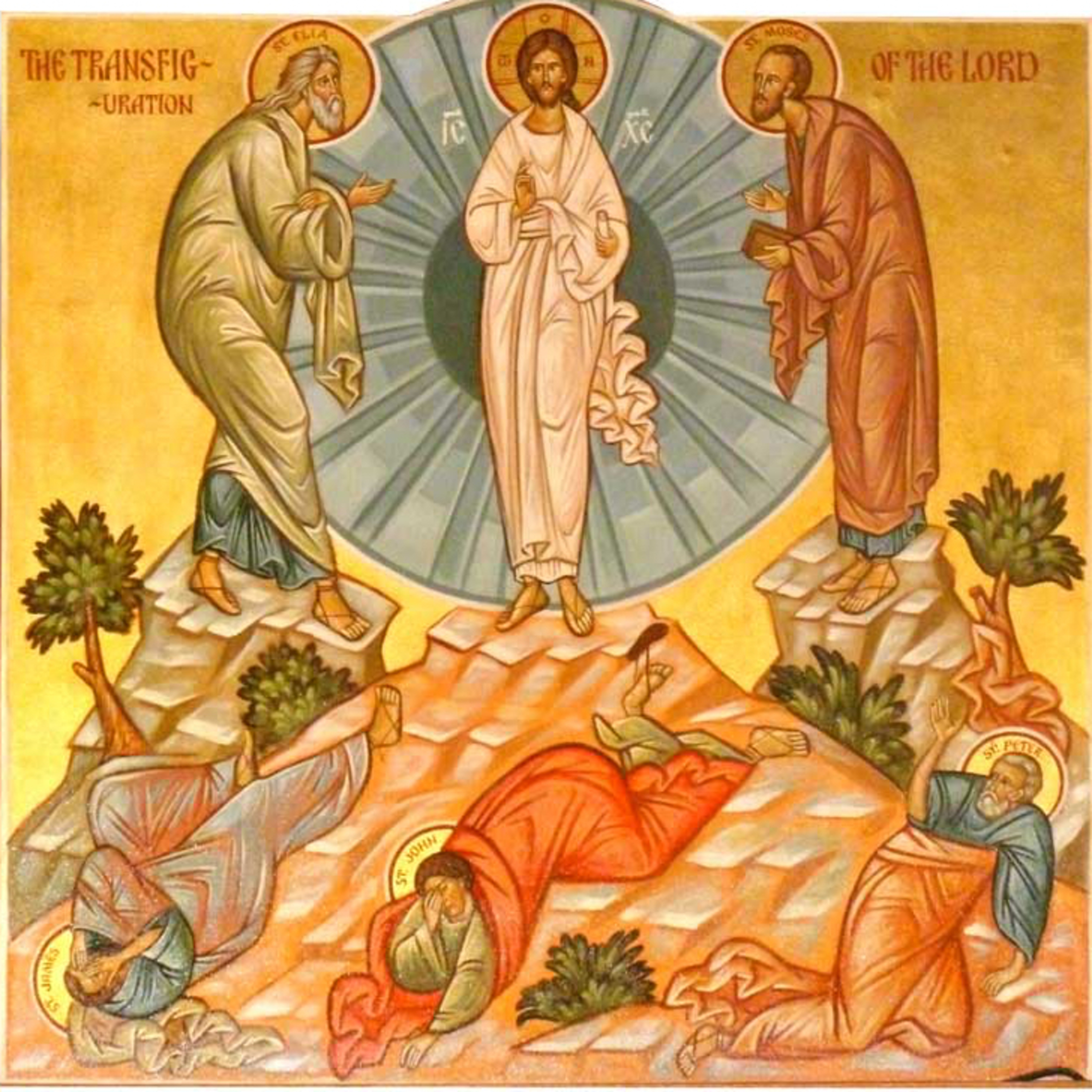 The Transfiguration of Our Lord - Matthew 17:1-9 episode artwork