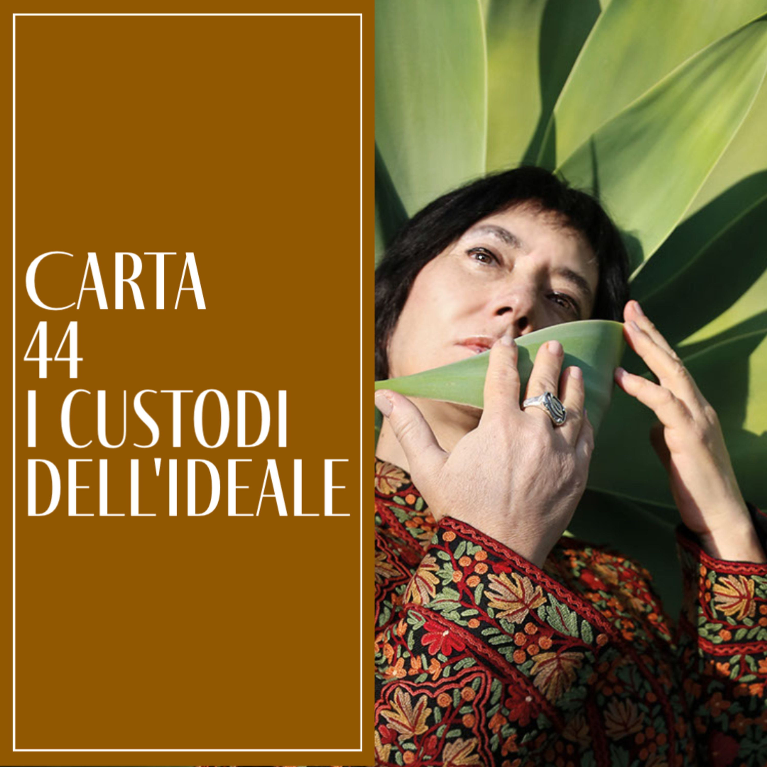 Carta n.44: i Custodi dell'Ideale. Meditazione con le Carte del Drago - 29 marzo 2023 episode artwork
