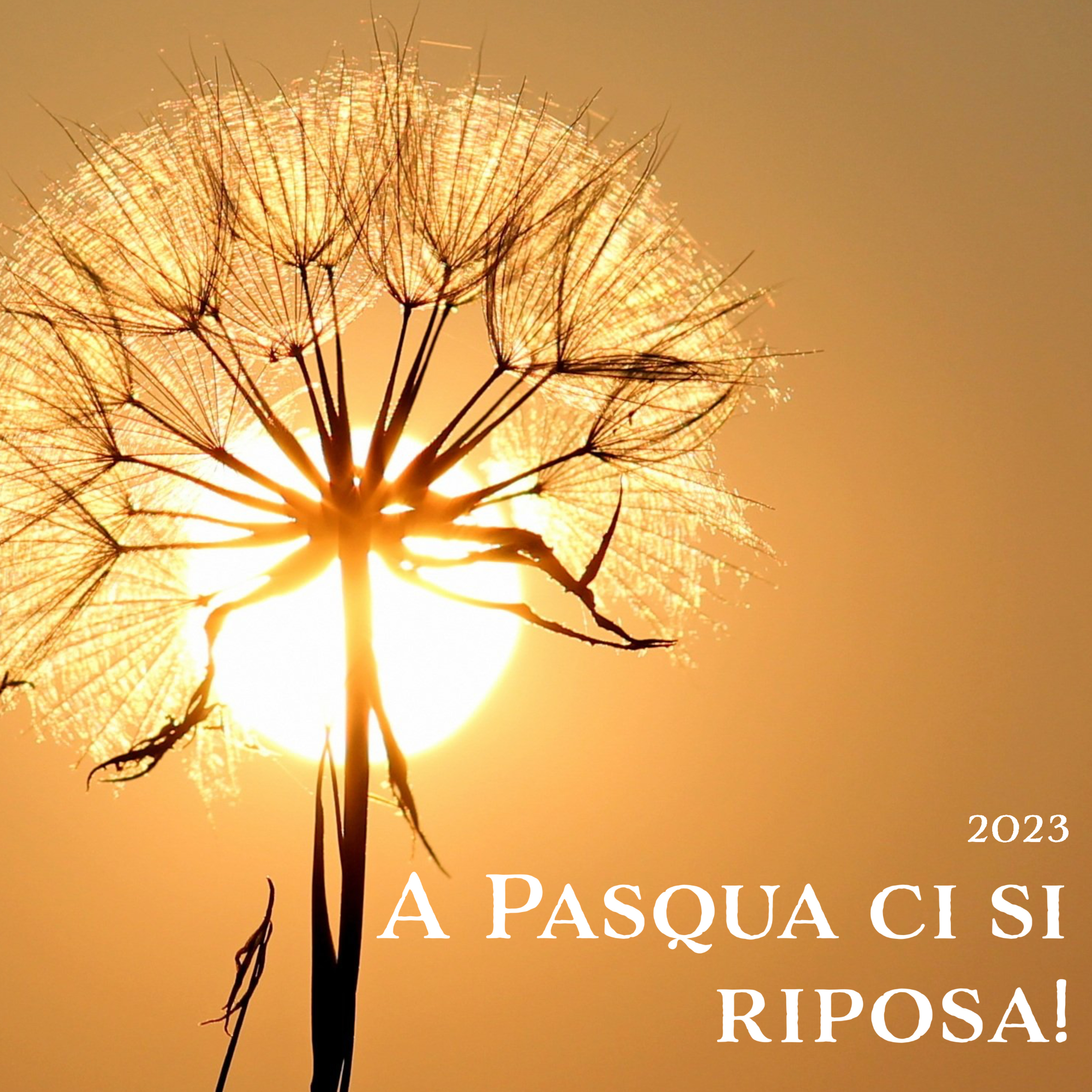 A Pasqua si riposa. Ma che significa riposo? Un rituale per scoprirlo - 9 aprile 2023 episode artwork