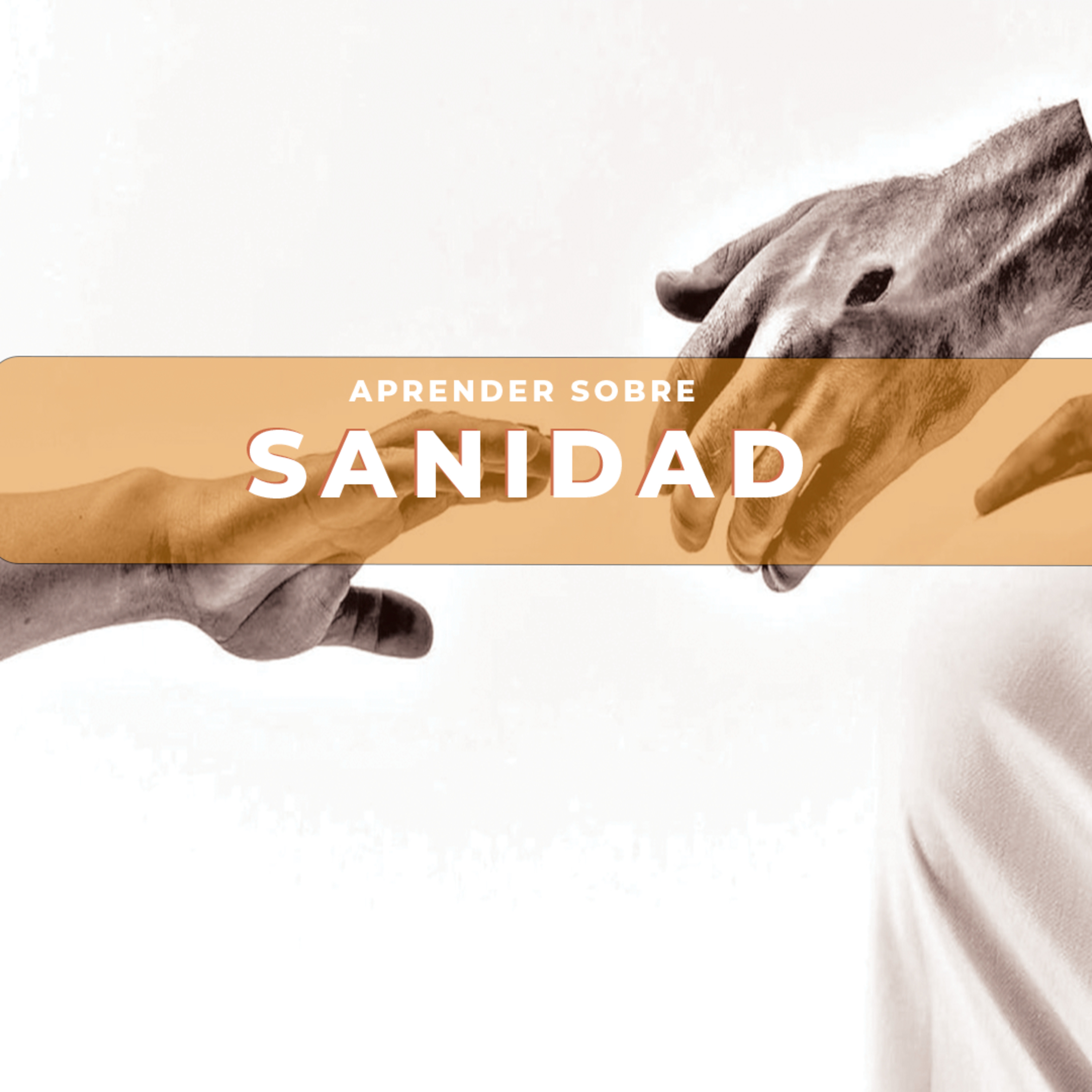 EL IMPACTO DE LA SANIDAD | Pastor: Rocco Di Trolio episode artwork