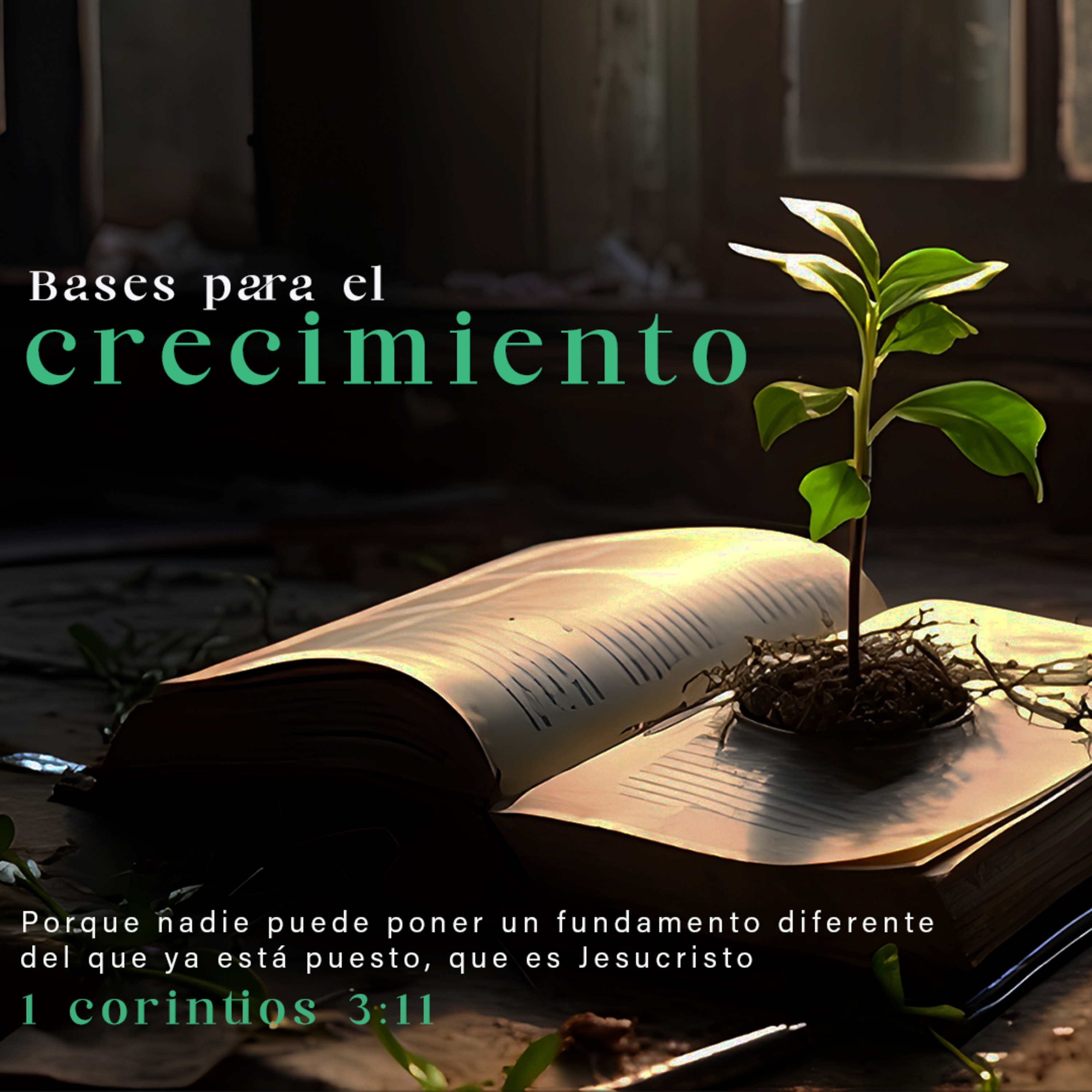 SERVICIO INTEGRAL | Pastor: Rocco Di Trolio episode artwork