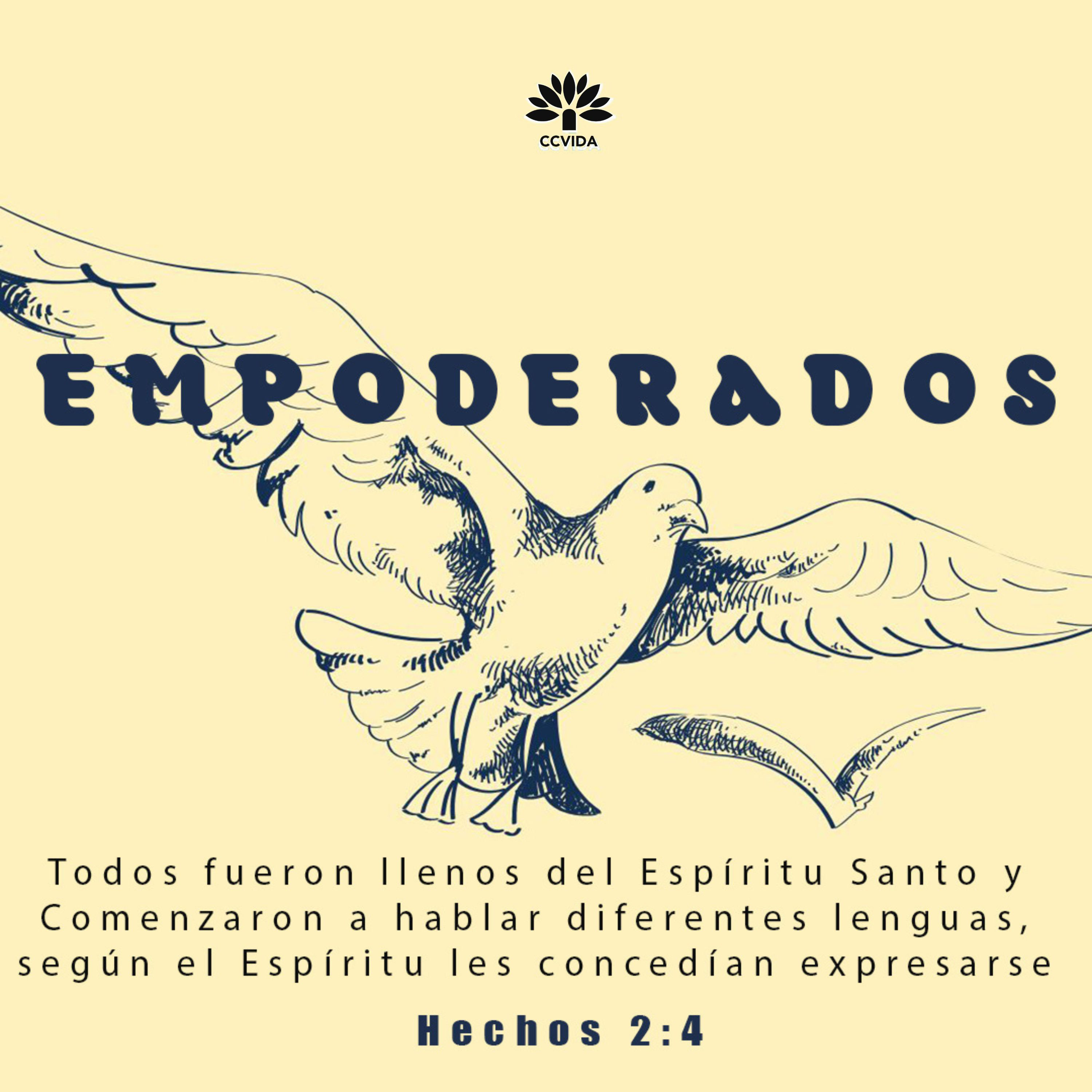 LLENURA DEL ESPÍRITU SANTO| Pastor: Rocco Di Trolio episode artwork