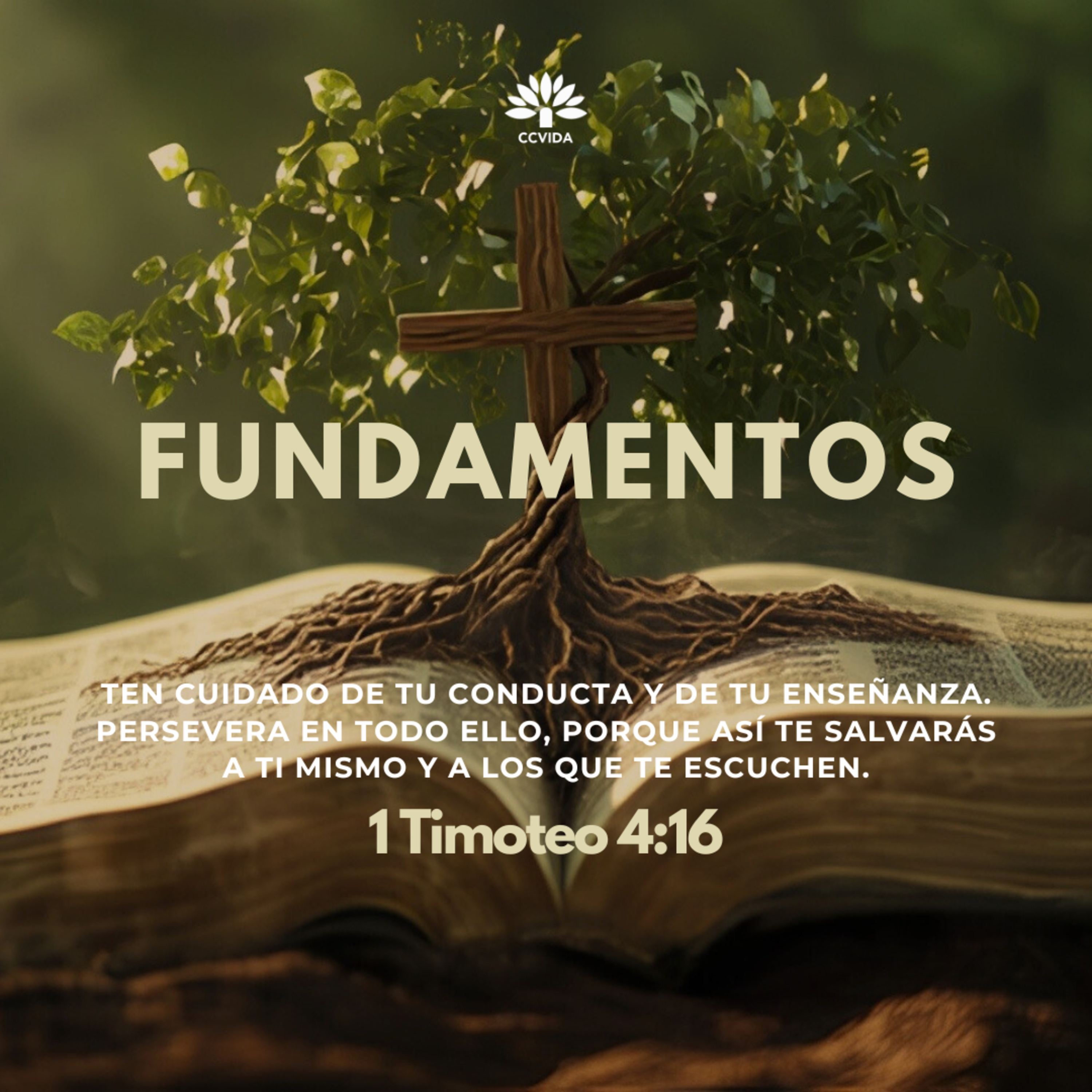 LA CAÍDA DEL SER HUMANO | Pastor: Abraham Campos  episode artwork