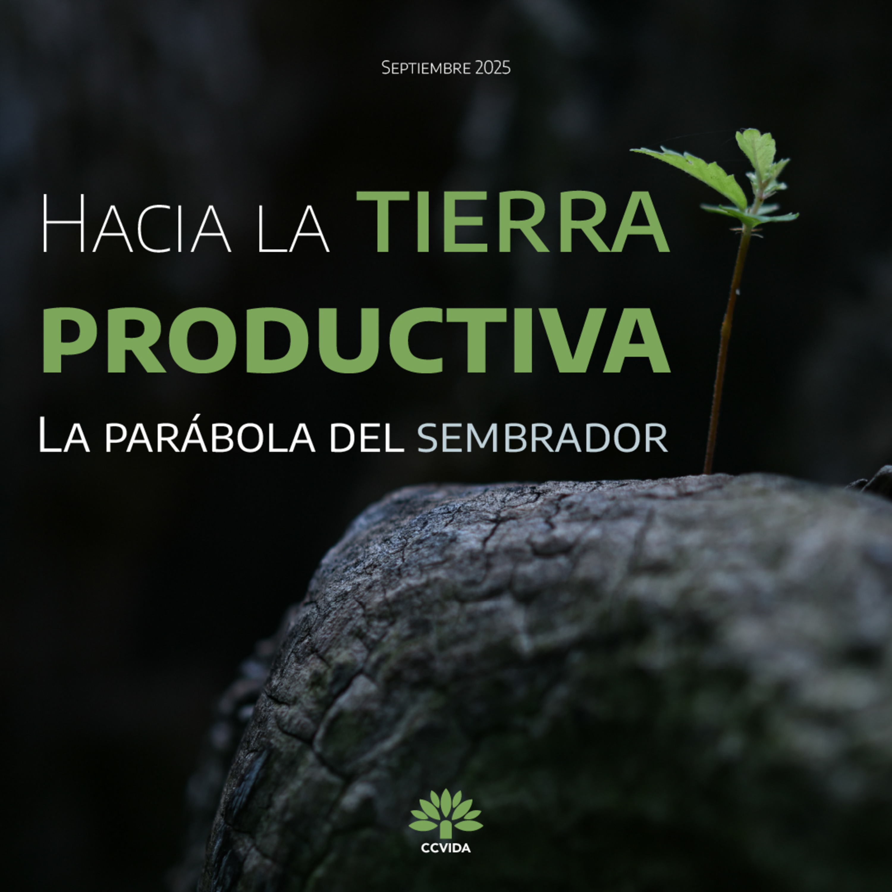 ¡Peligros que atacan el Poder de la Palabra! - Pastor: Rocco Di Trolio  episode artwork