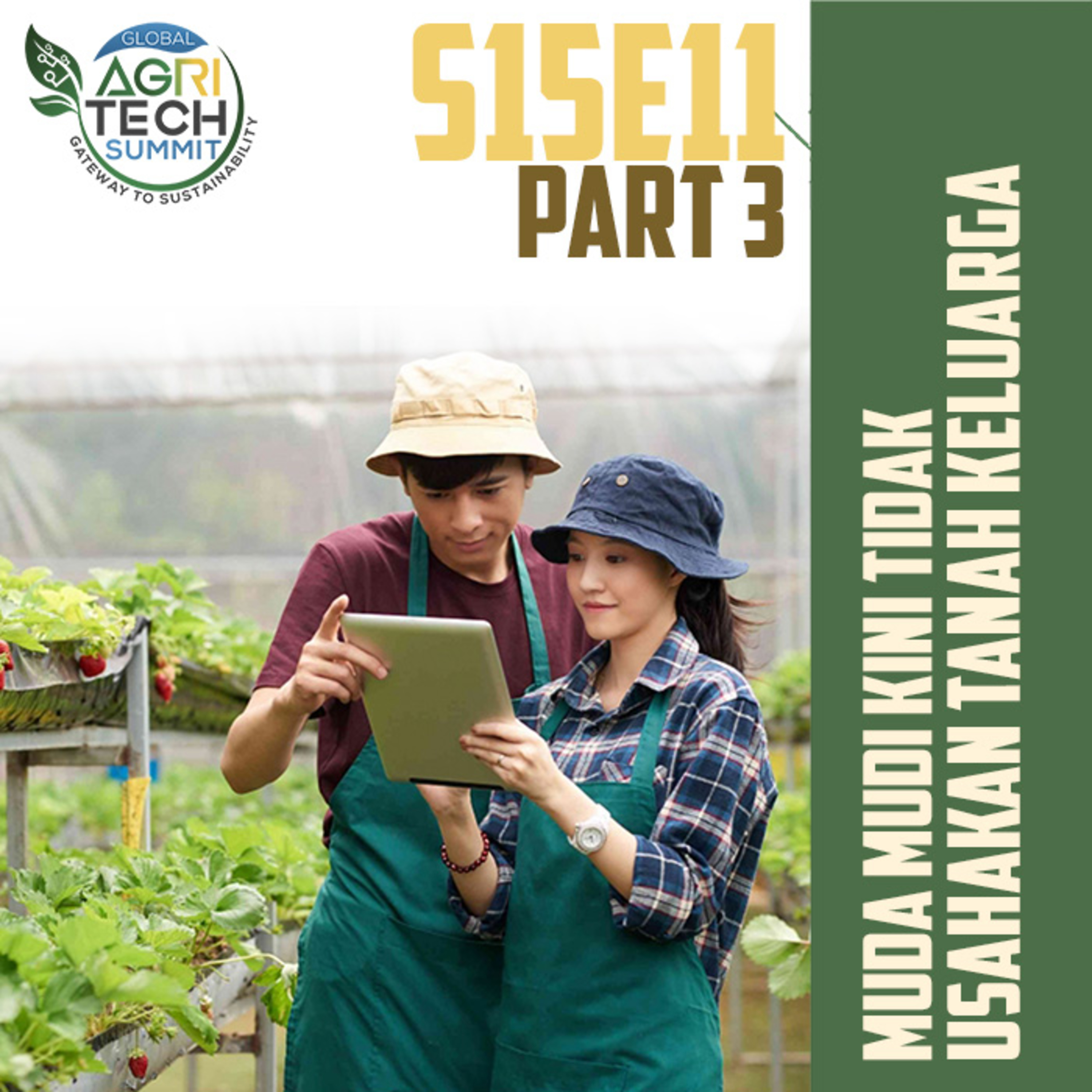S15E11 Part 3: Muda Mudi Tidak Usahakan Tanah Keluarga episode artwork