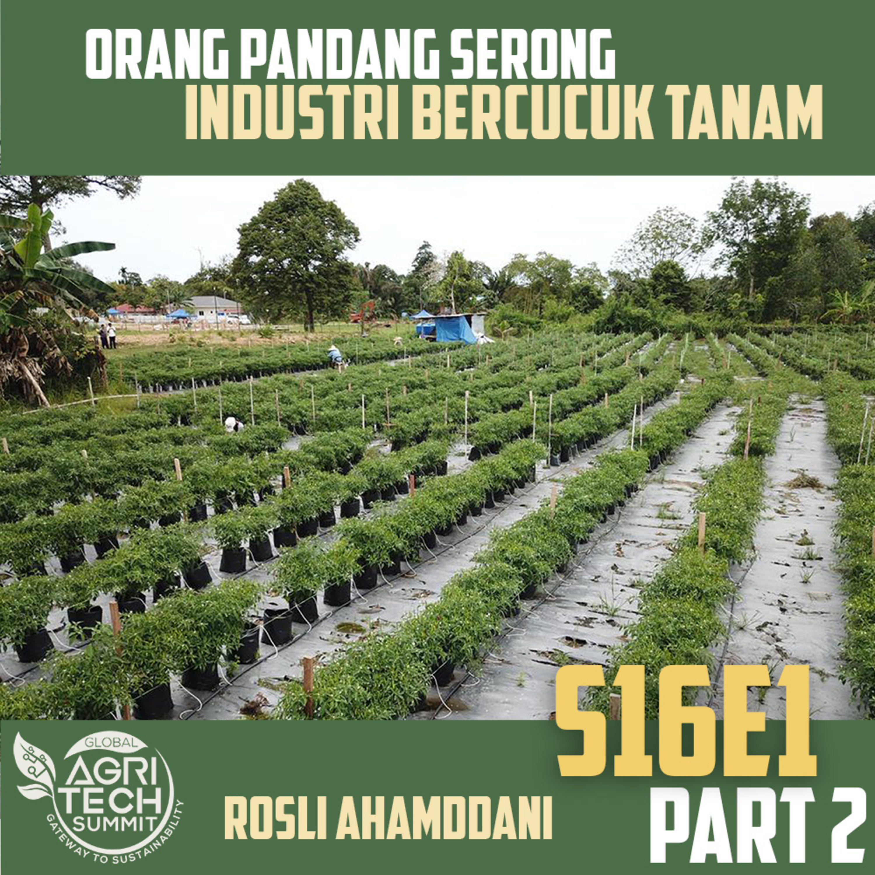 S16E1 Part 2 : Orang pandang serong industry bercucuk tanam episode artwork