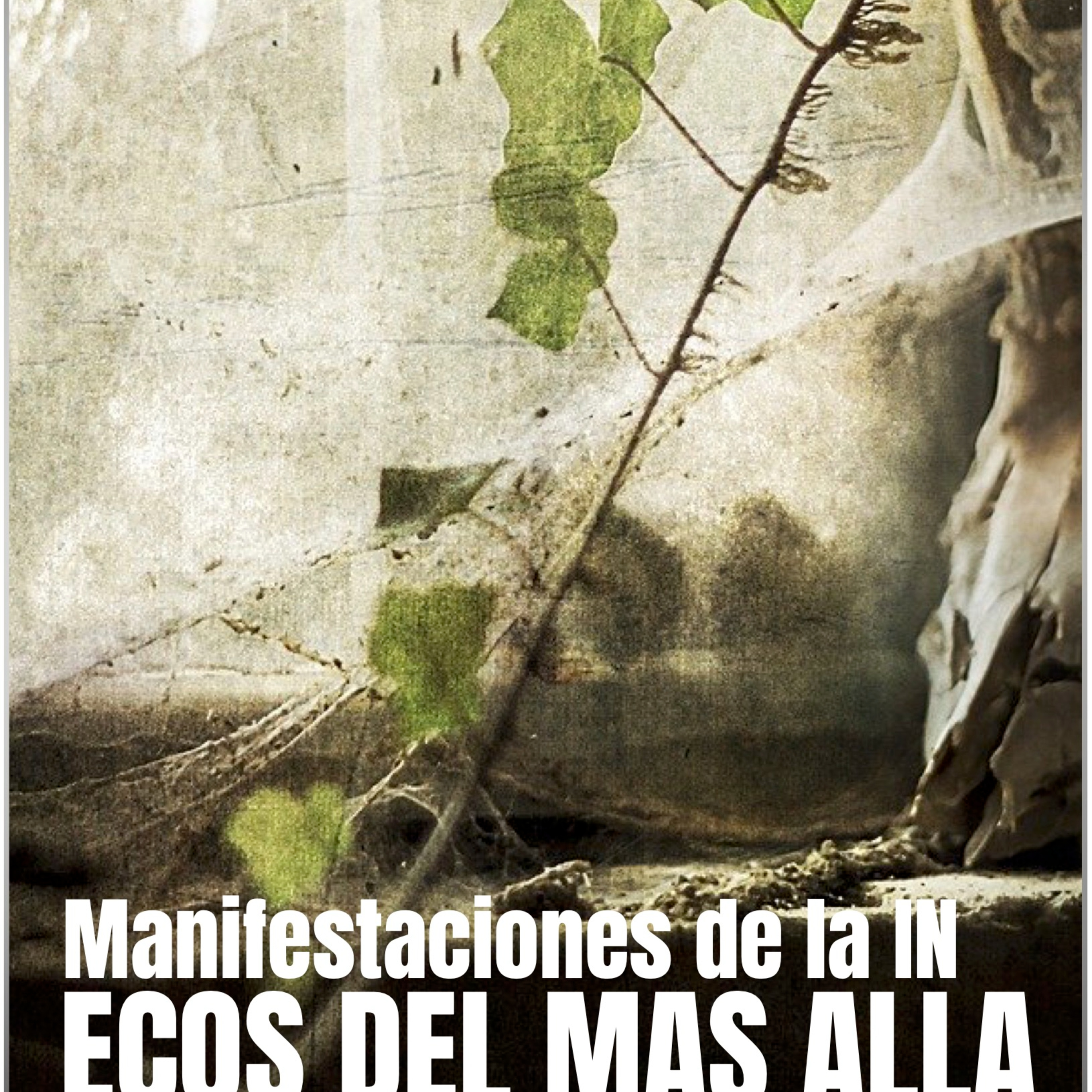 Portada de Holistic Lunar