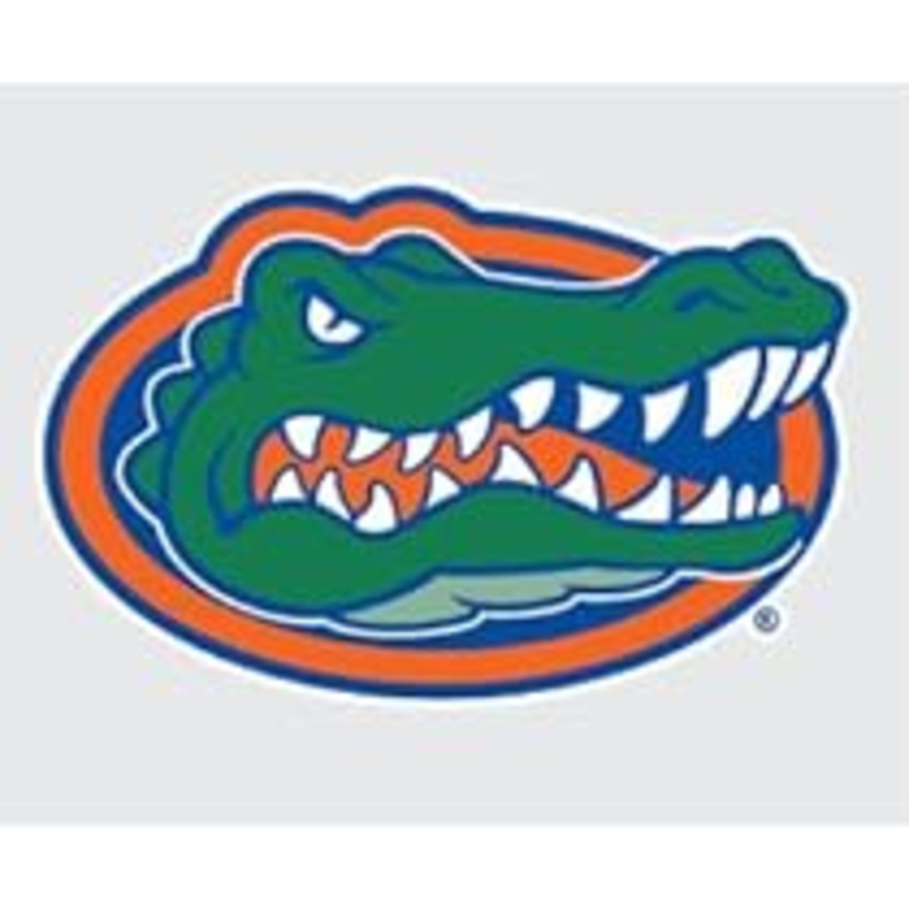 2024 Miami Hurricanes Opponent Preview Series - at Florida 8/31 episode artwork