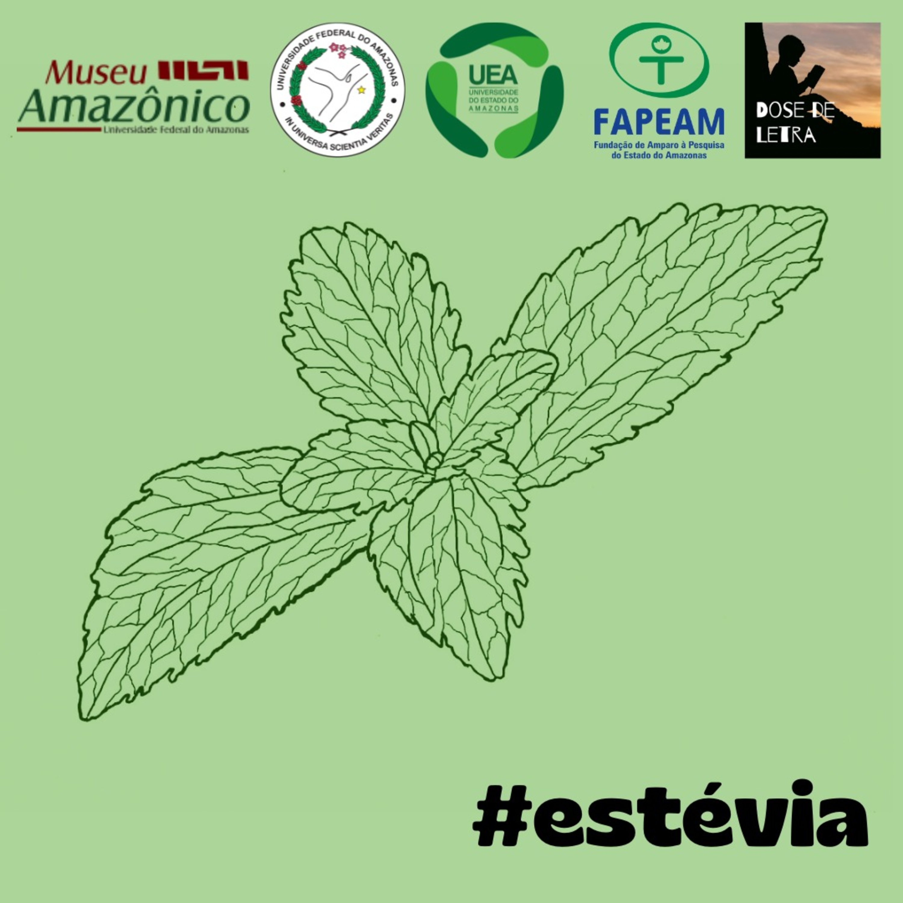#1 (3) A docinha chamada Estévia episode artwork