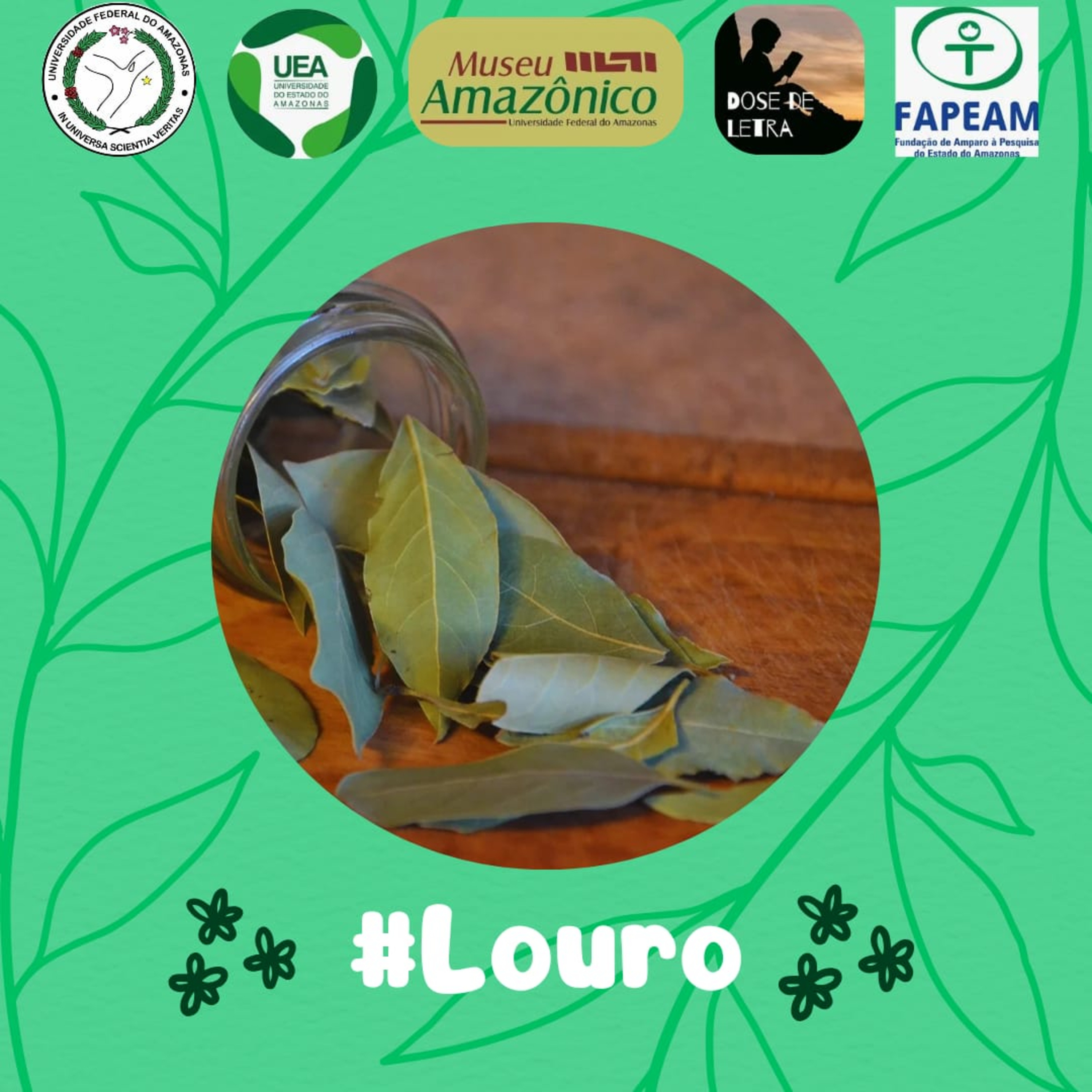 #2 (3) Louro - Desvendando os segredos da folha de louro na medicina natural  episode artwork