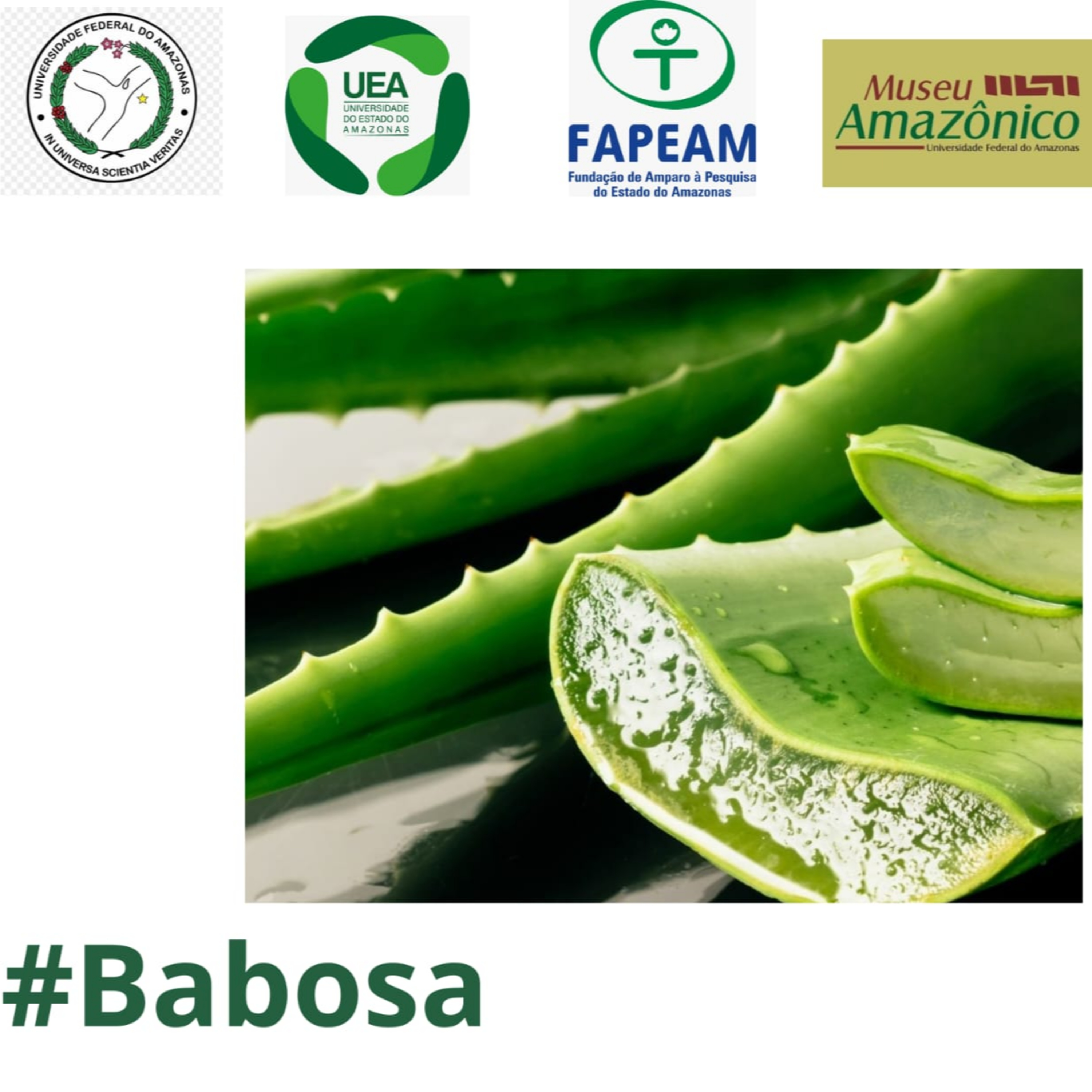 #4 (3) Verde e Poderosa: Babosa Desvendada episode artwork