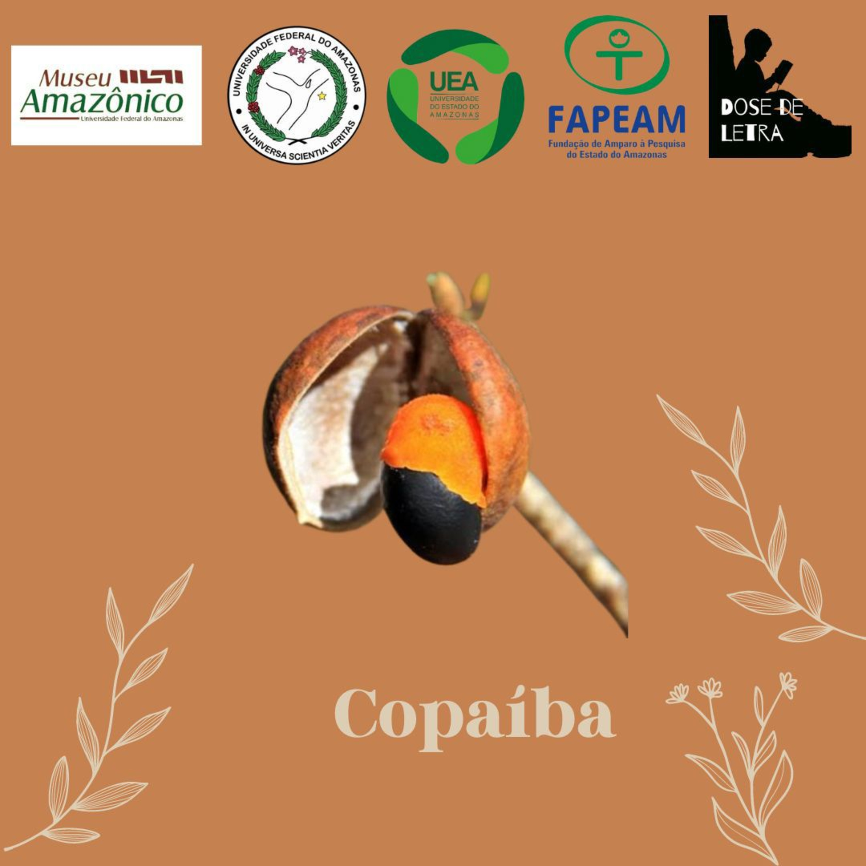 #3 (3) Copaíba: Tudo sobre a planta. episode artwork