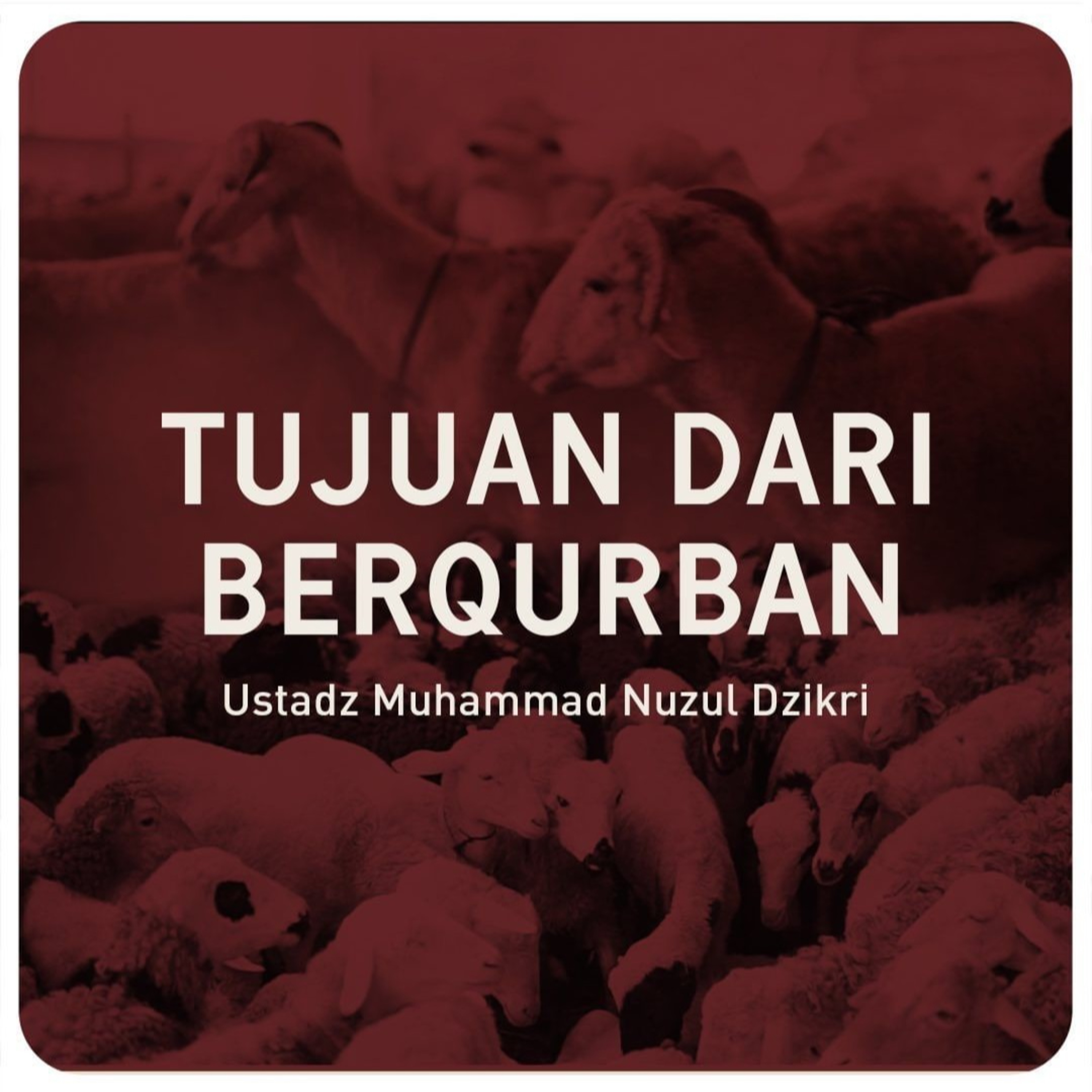 TUJUAN DARI BERQURBAN