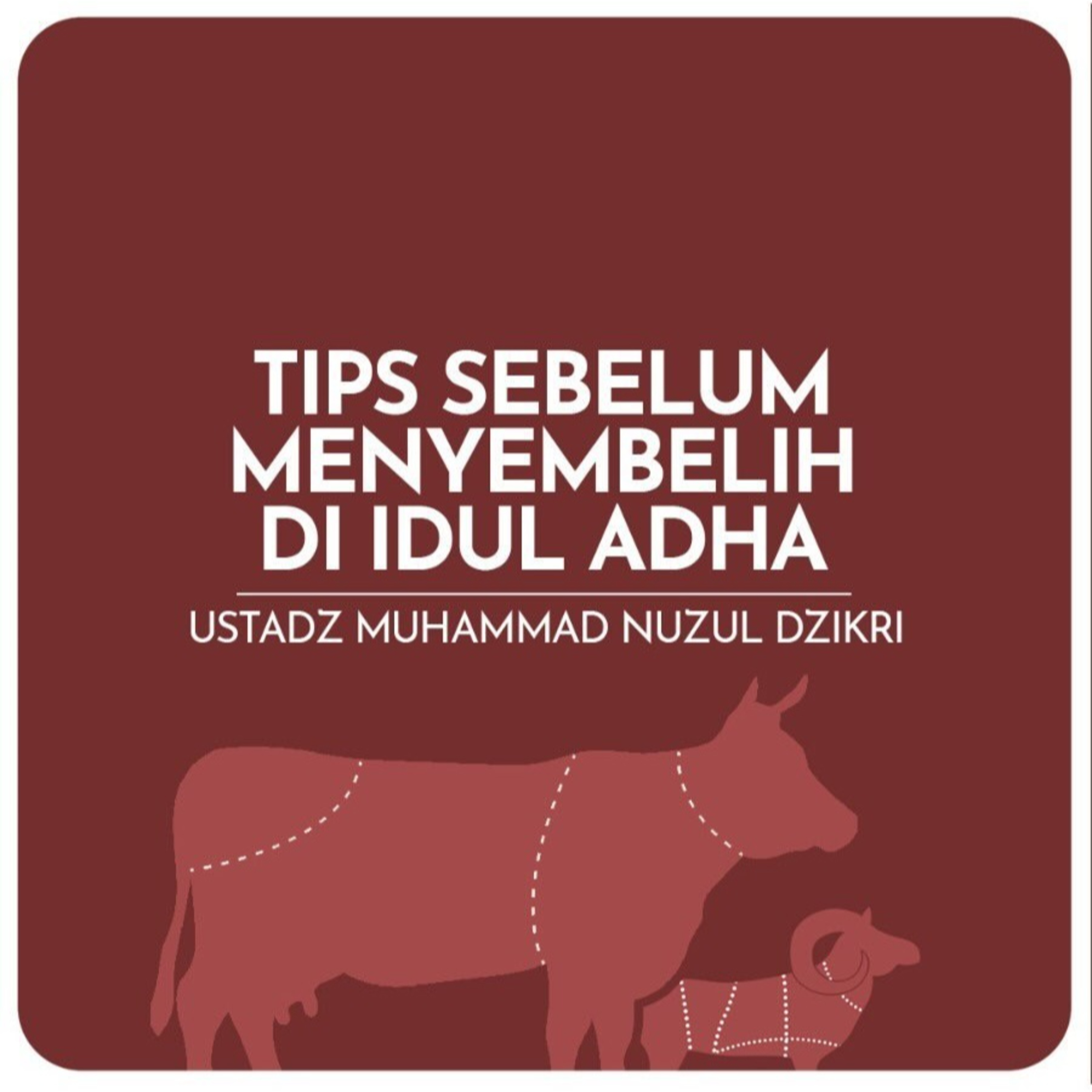 TIPS SEBELUM MENYEMBELIH DI IDUL ADHA