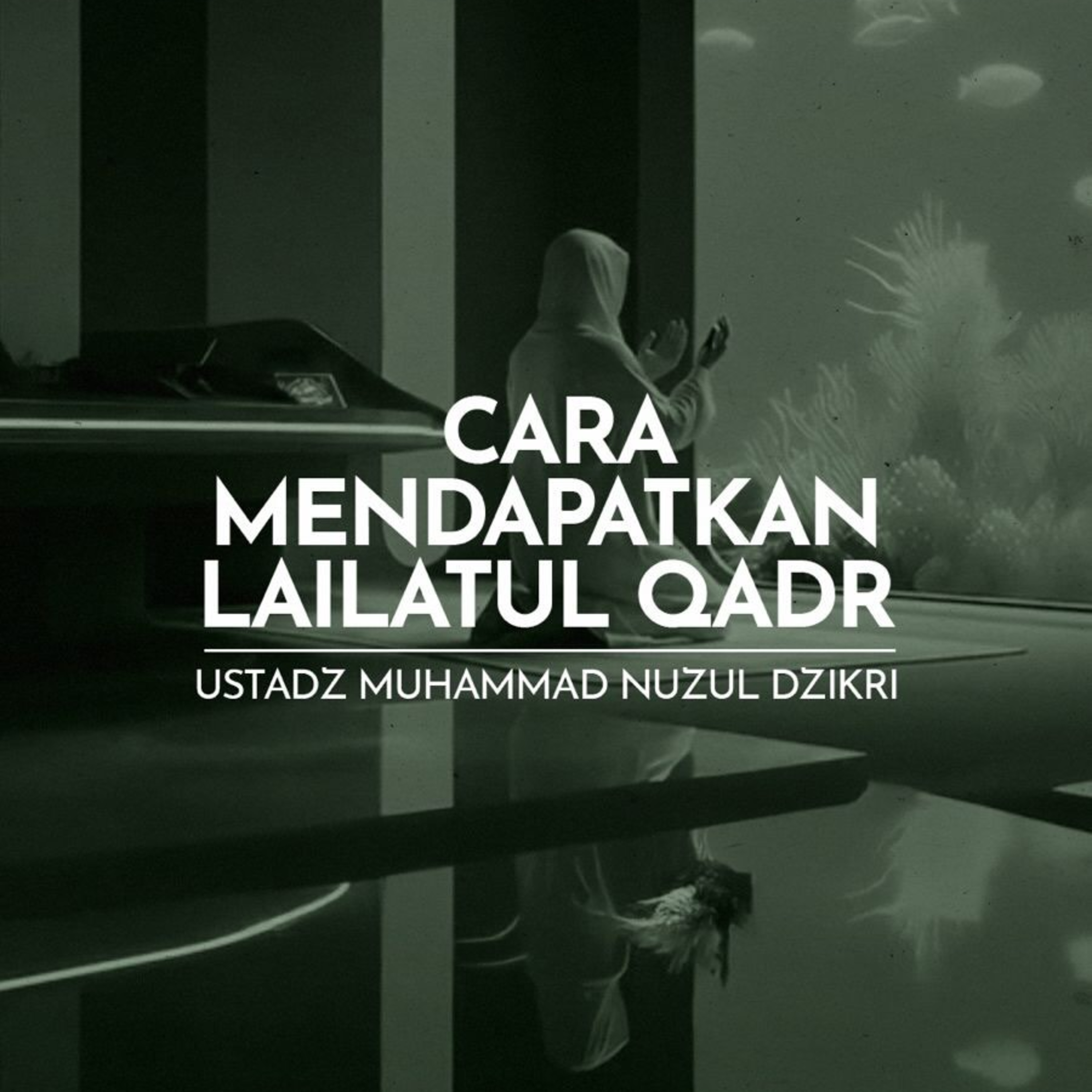 Cara Mendapatkan Lailatul Qadr (How to attain Laylatul Qadr)