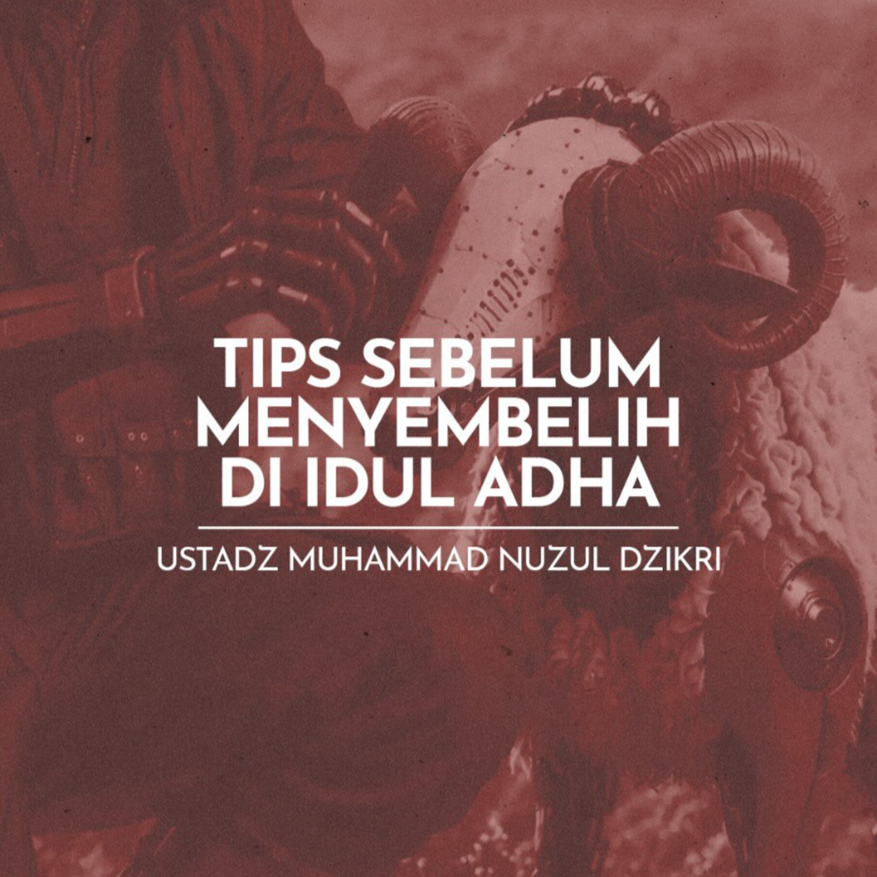 Tips Sebelum Menyembelih di Idul Adha