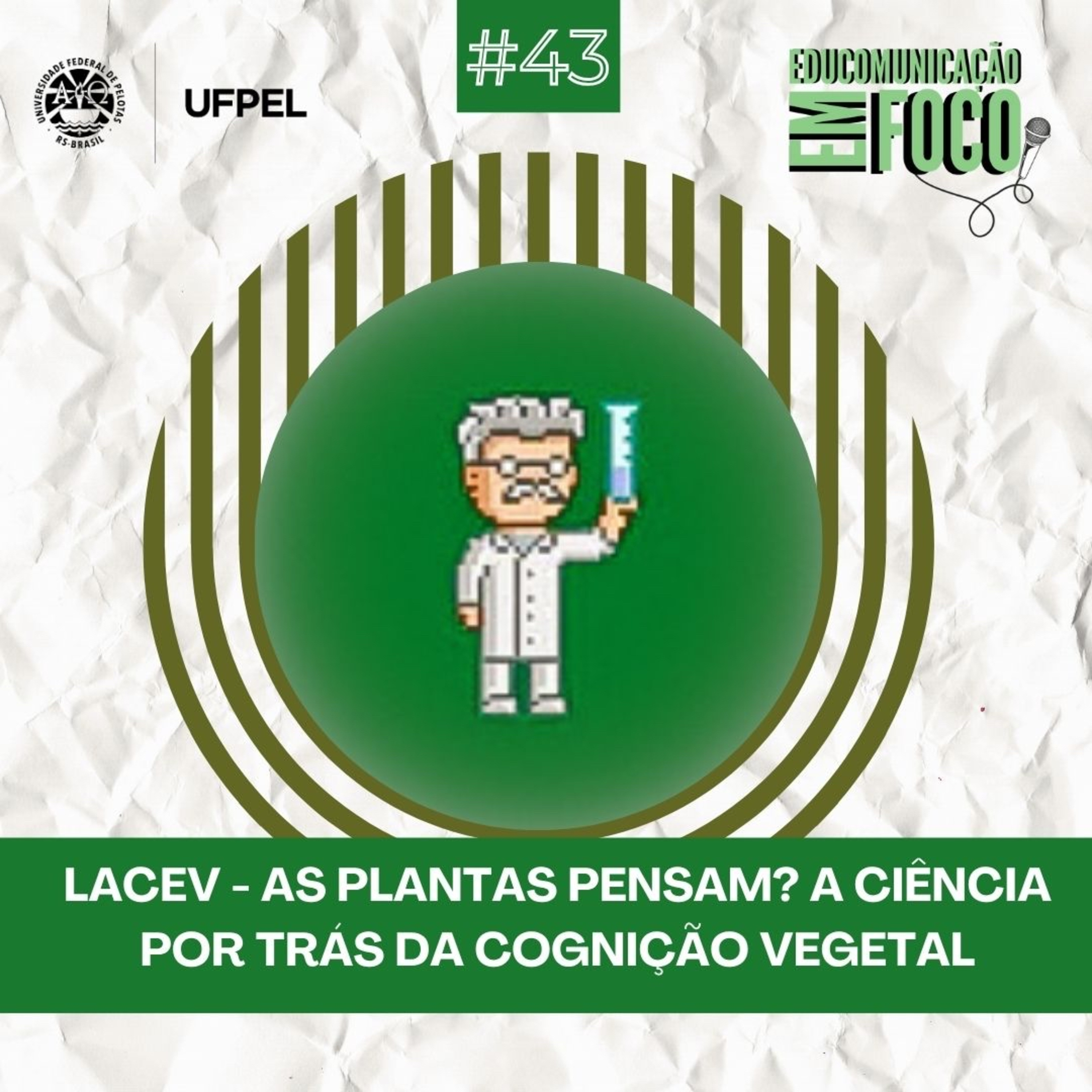 Educomunicação em Foco