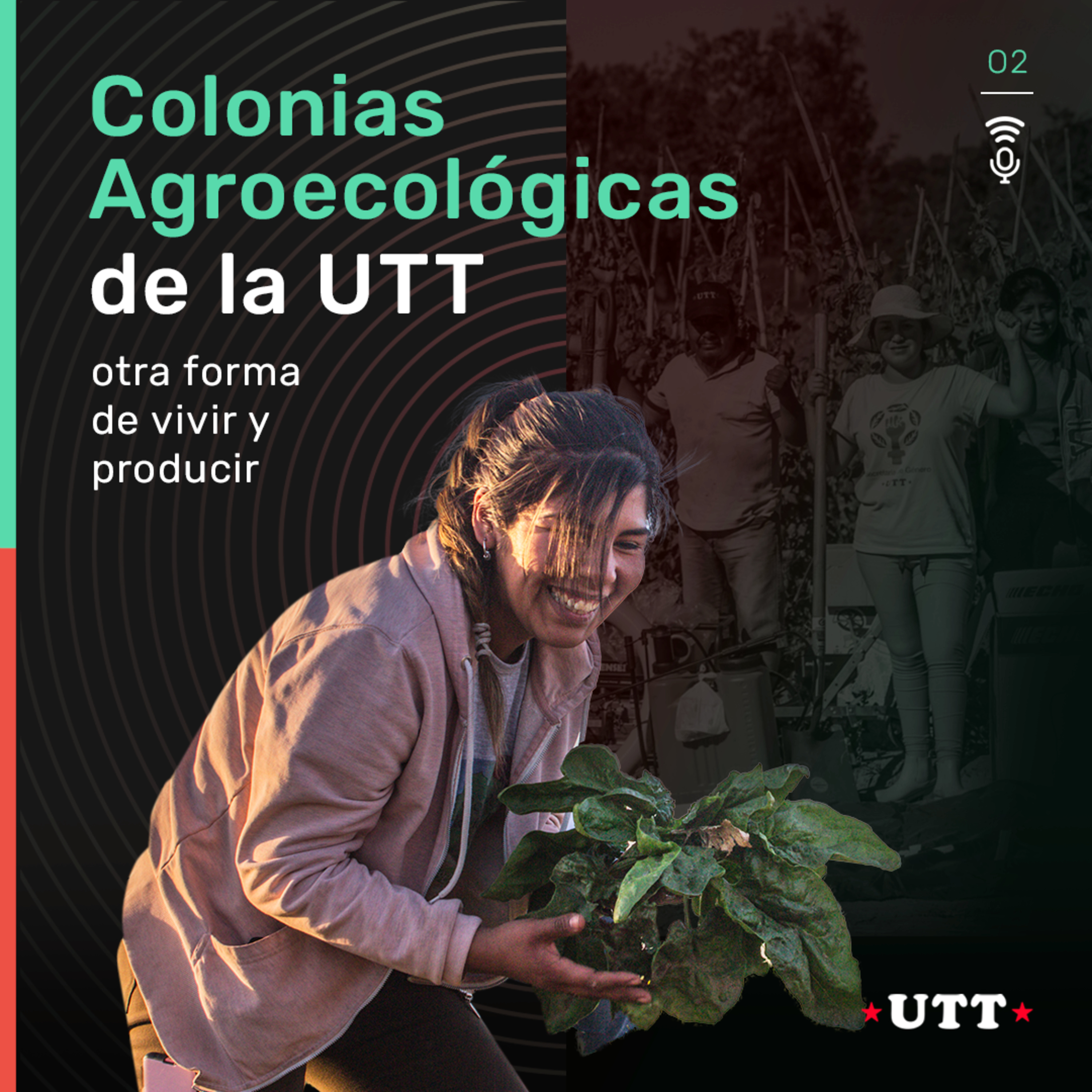 Suena la UTT