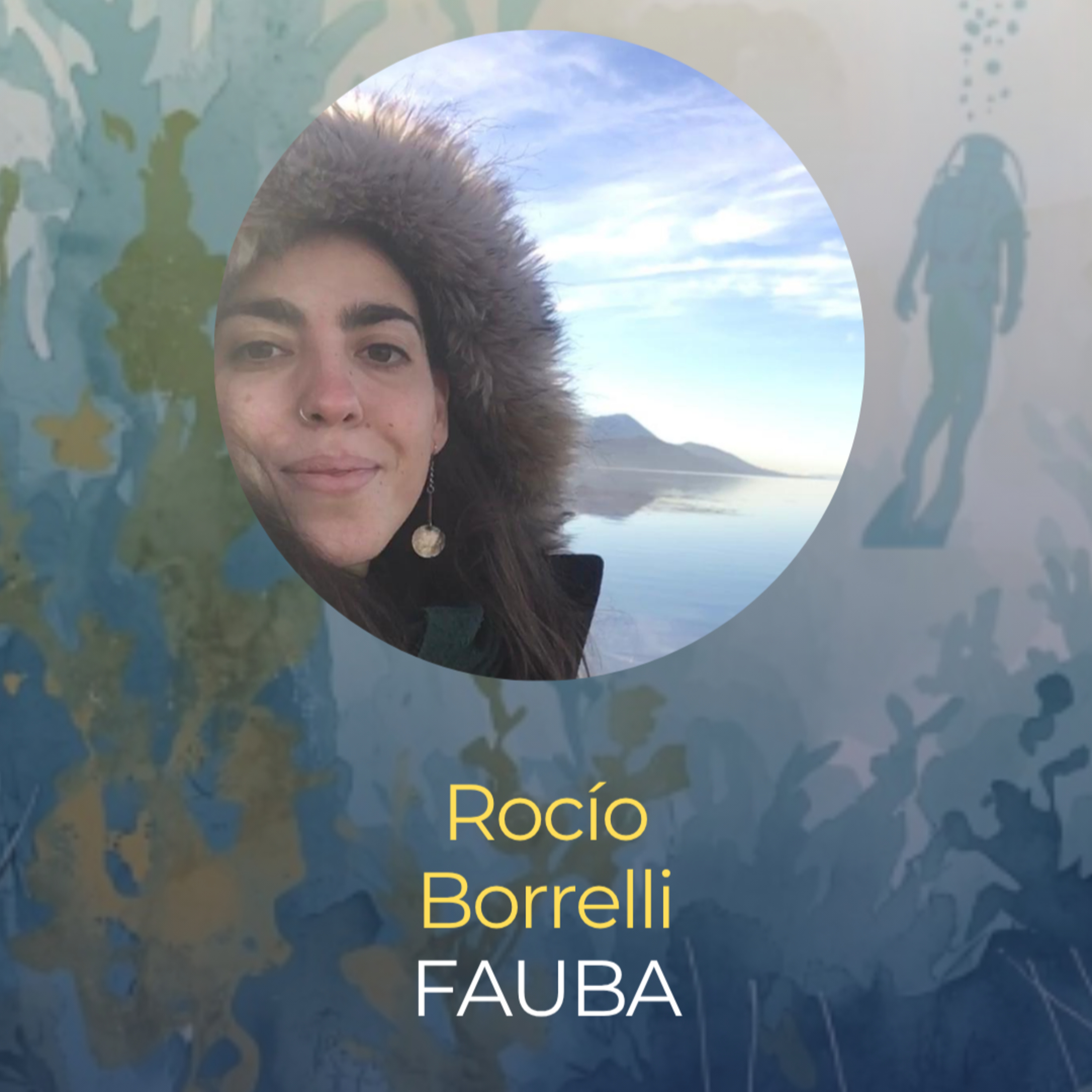 Bucear en el fin del mundo: investigan los bosques de macroalgas y su biodiversidad episode artwork