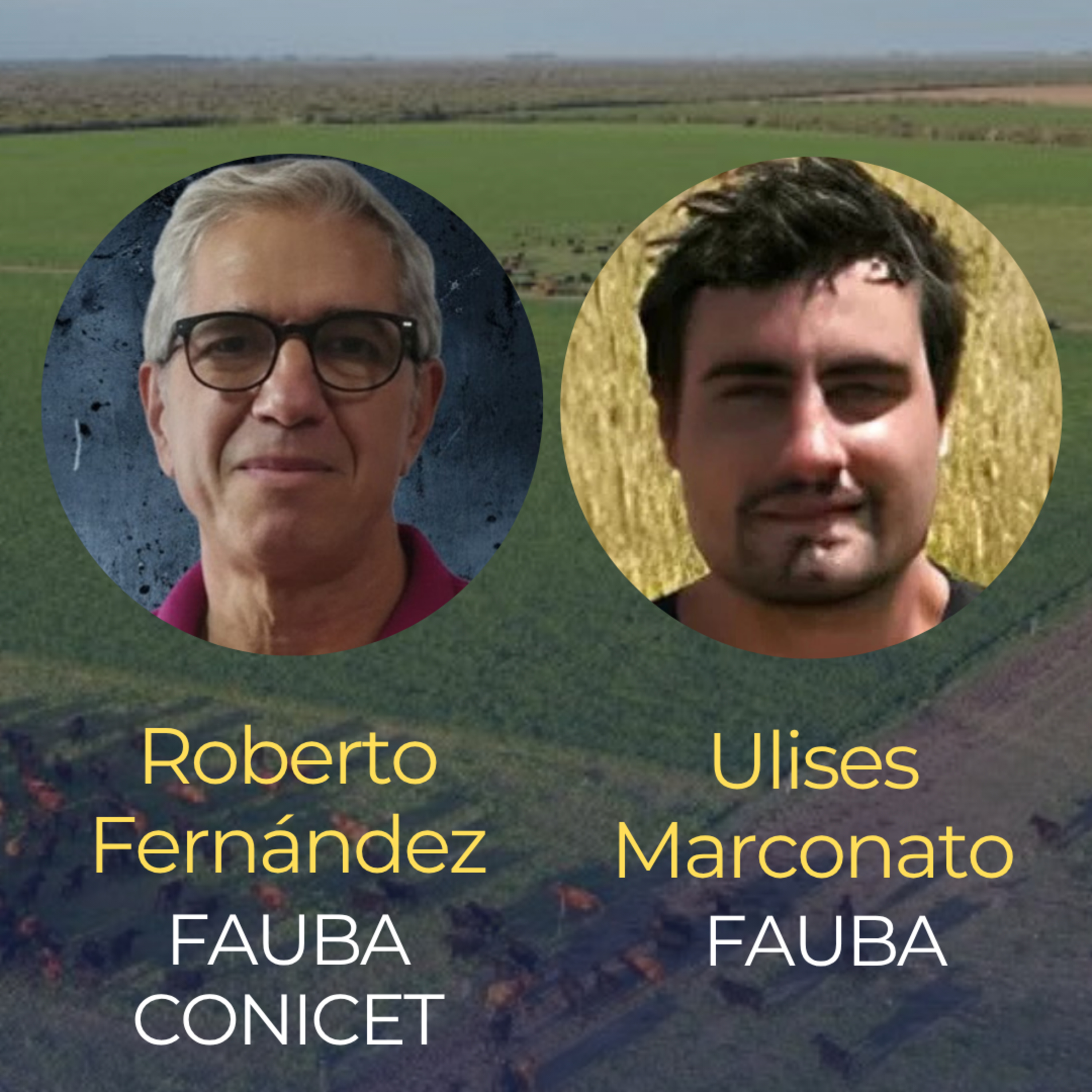 Agricultura y ganadería: ¿Cuál gana en el balance de carbono? episode artwork