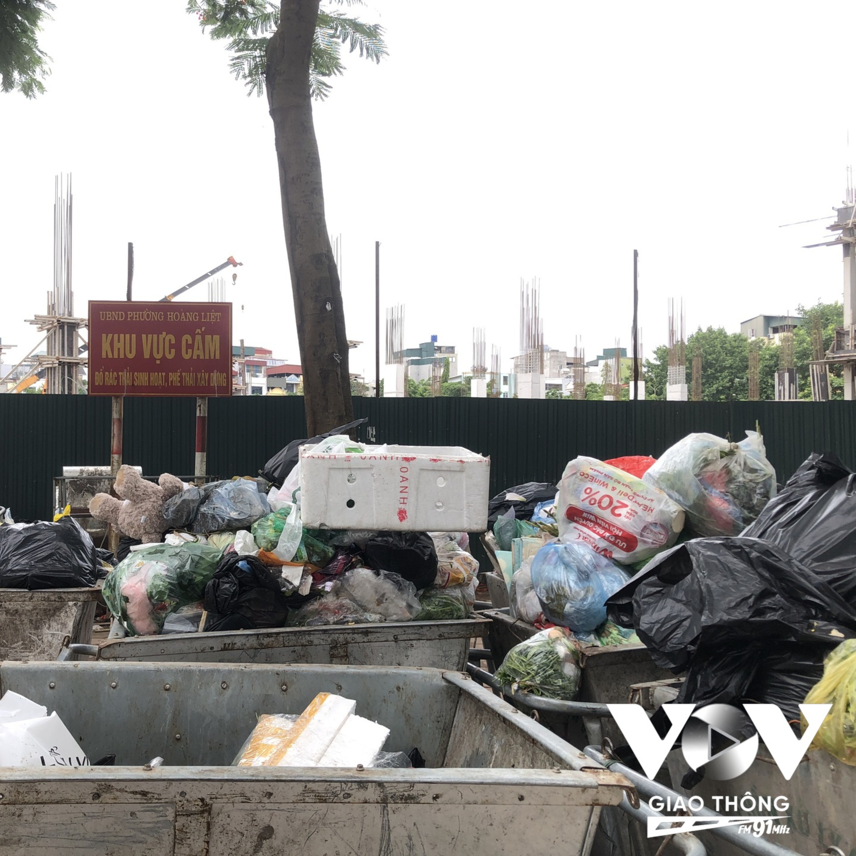 Những biển cấm đổ rác bị phớt lờ episode artwork
