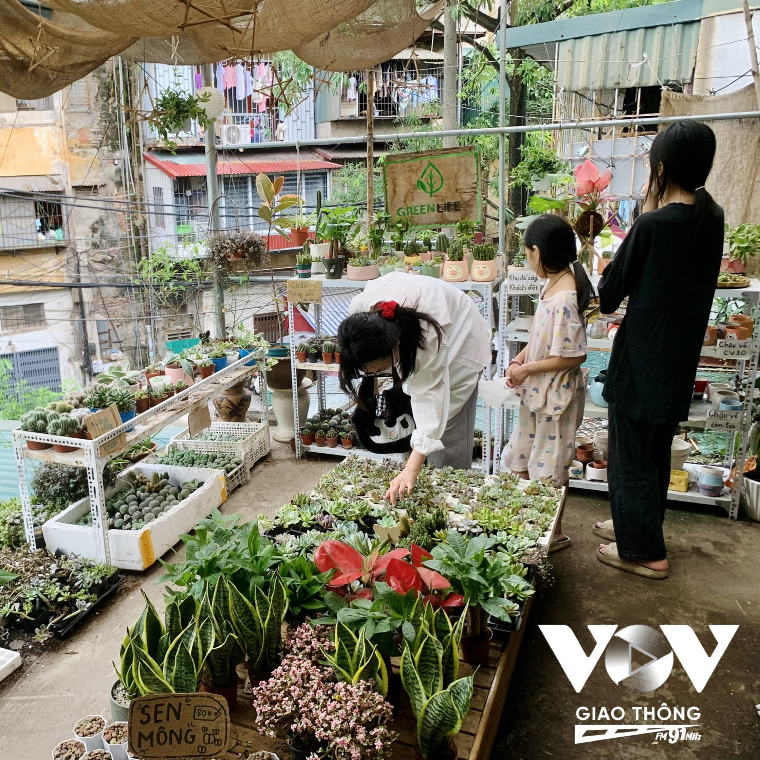 Vườn ươm Lọ mọ episode artwork