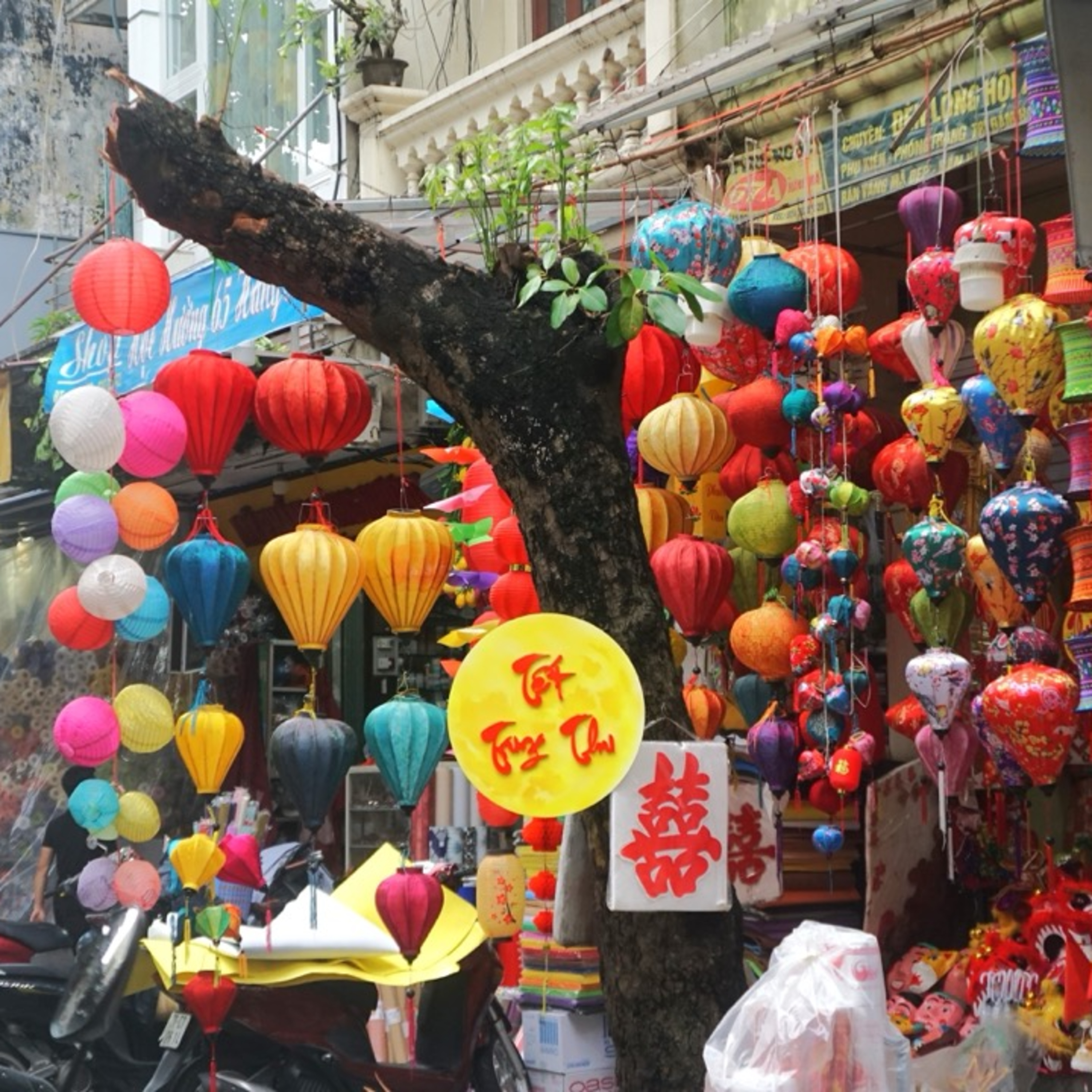 Bộ hành qua phố: Phố Hàng Mã mùa trung thu episode artwork