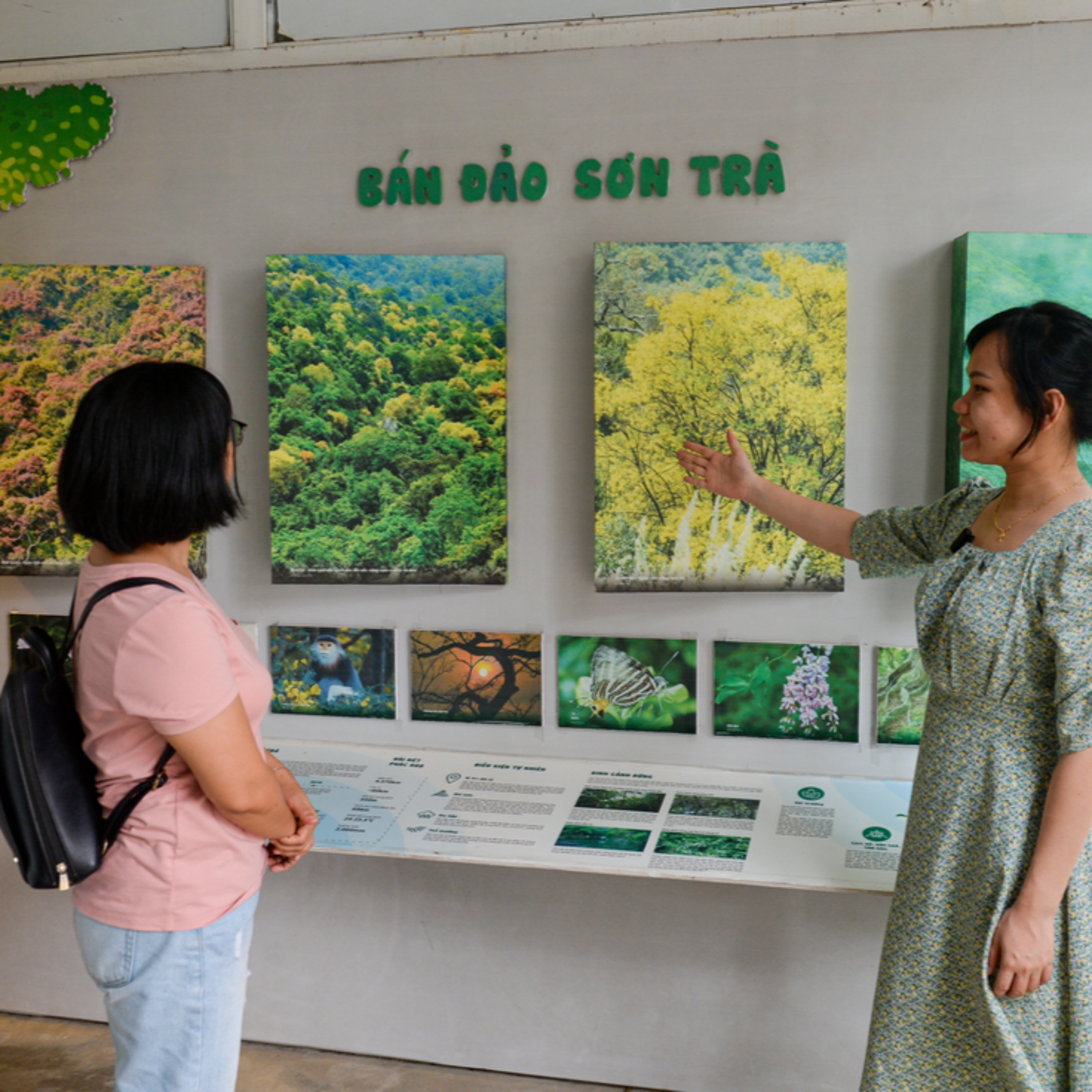 Nghề bảo tồn: Sao chưa thể gọi tên? episode artwork