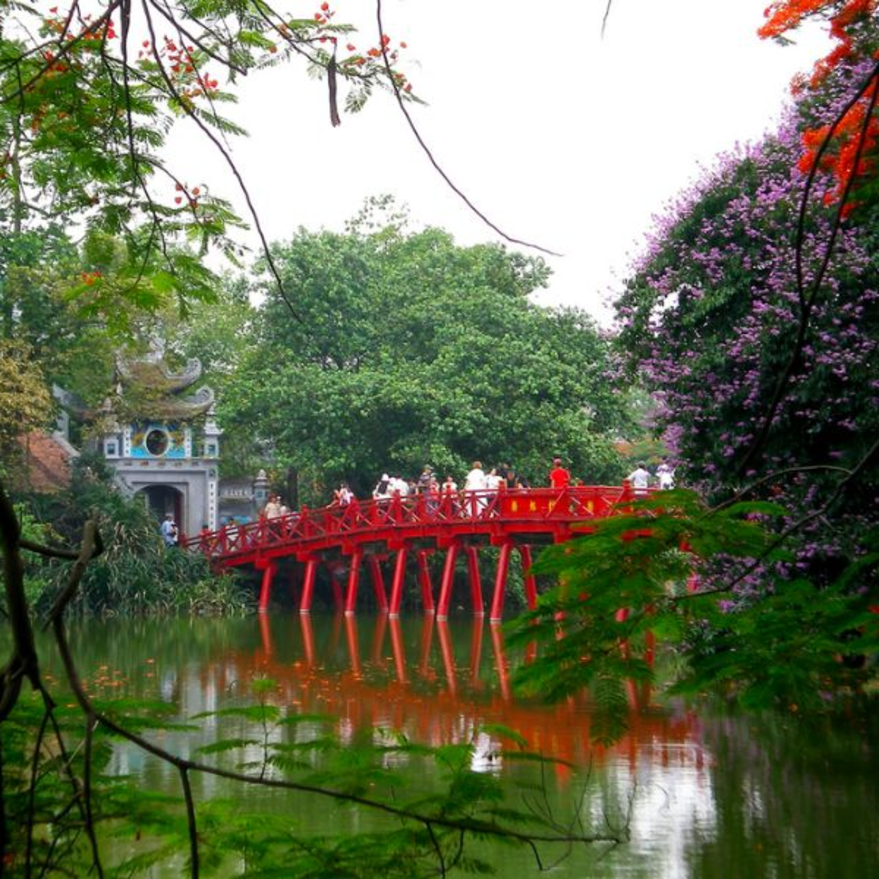 Bộ hành qua phố: Cây muỗm xanh xanh bên hồ episode artwork