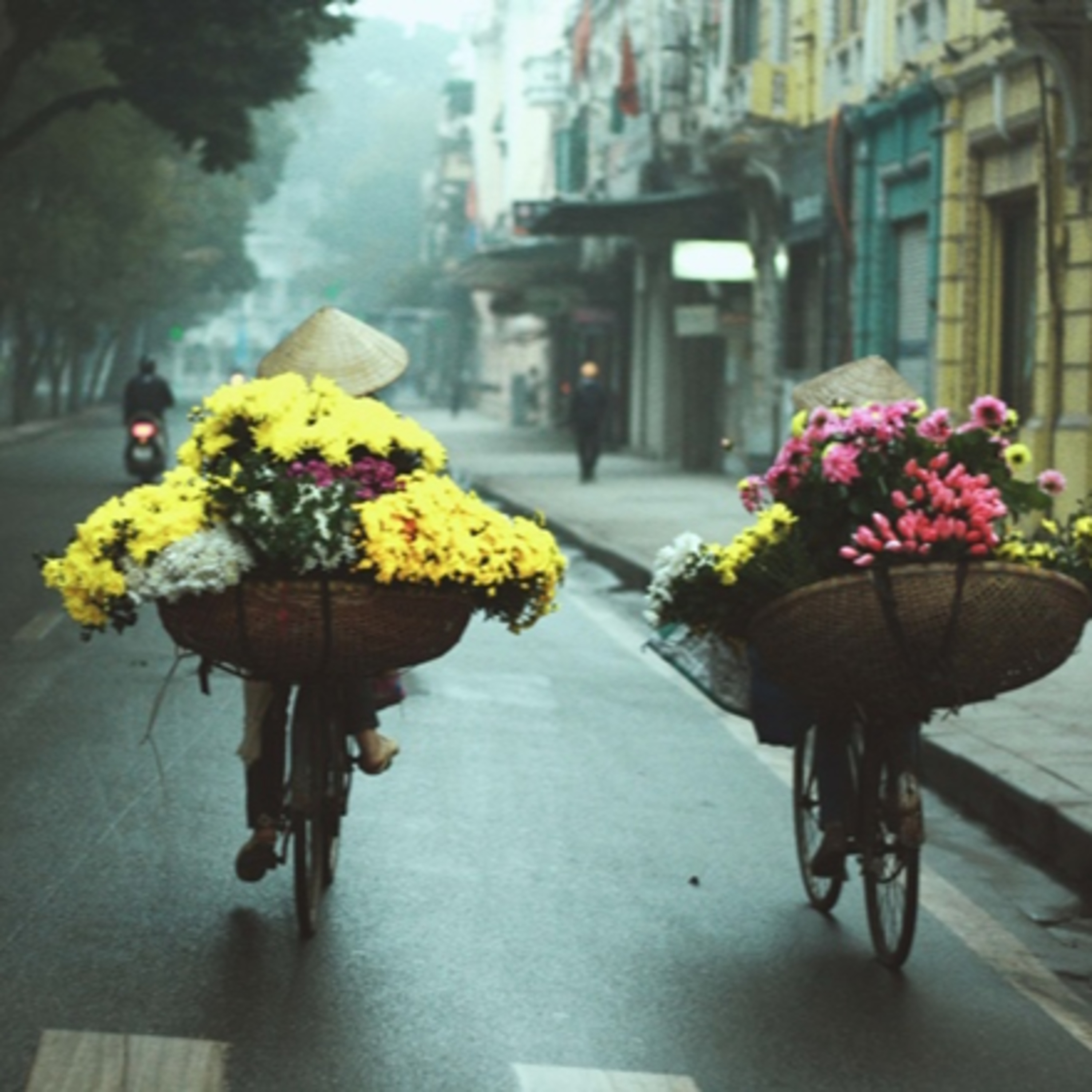 Sinh thái đô thị với tác động từ hiệu ứng "Mùa xuân đến sớm"  episode artwork