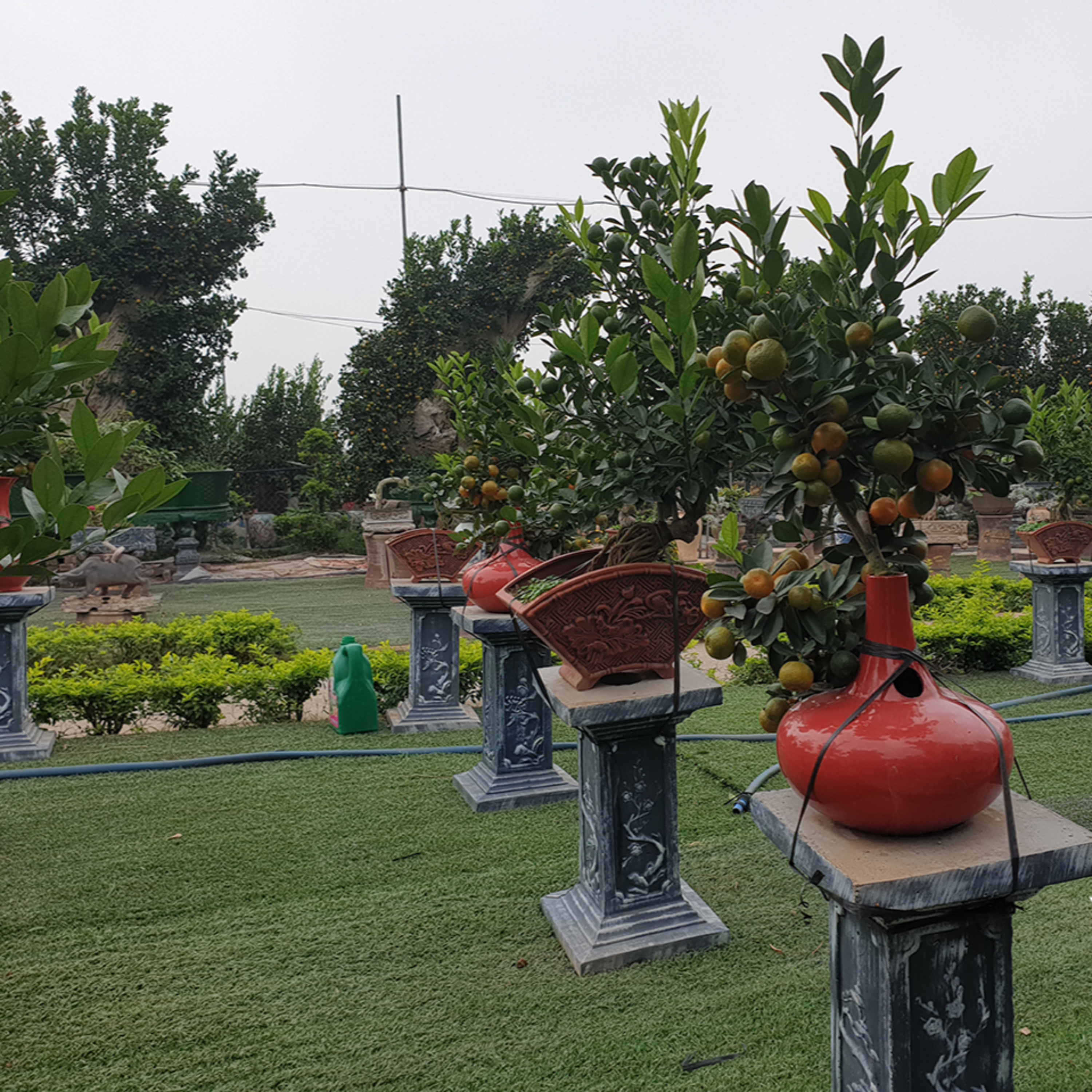 SỐNG ++