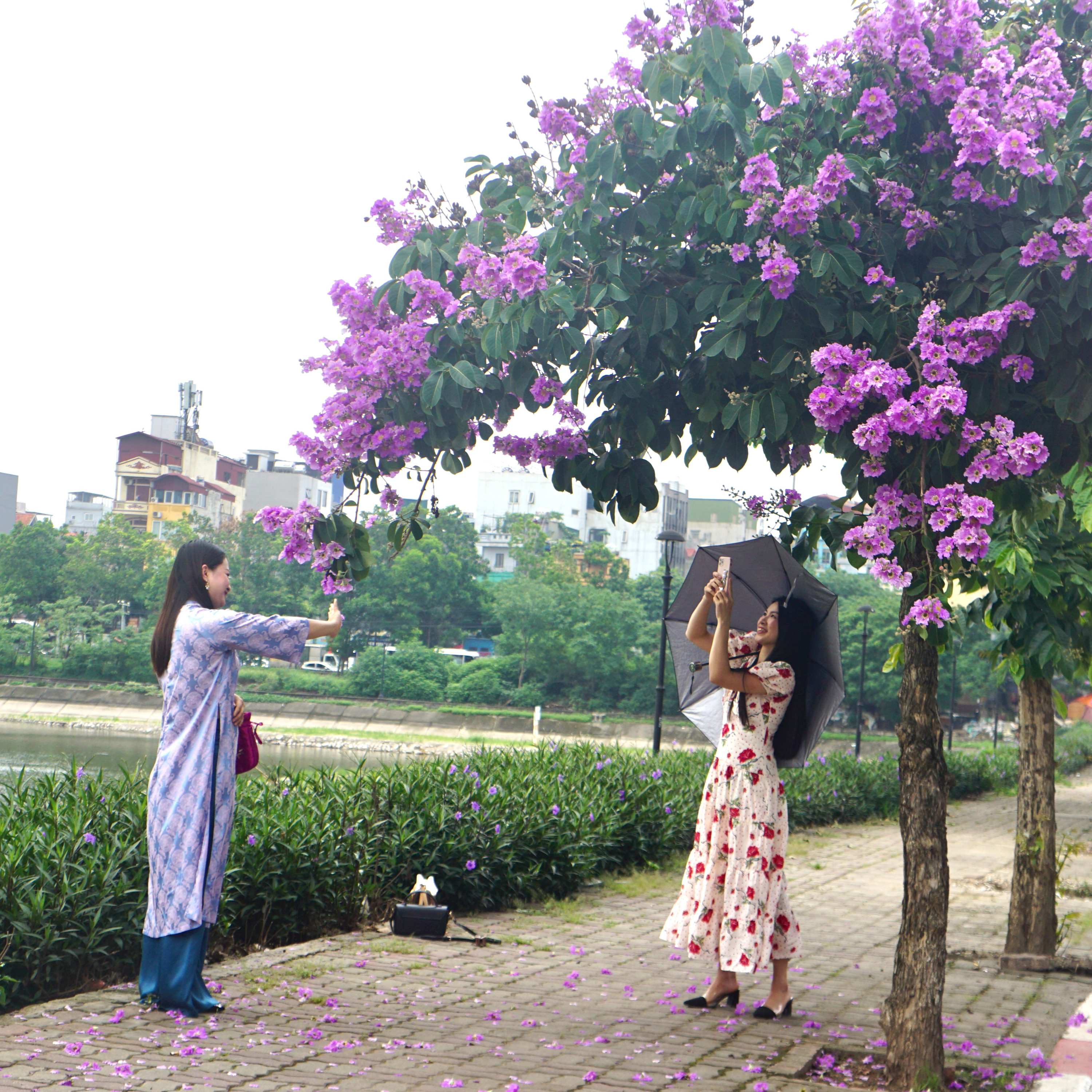 Bộ hành qua phố: Gọi tên màu tím episode artwork