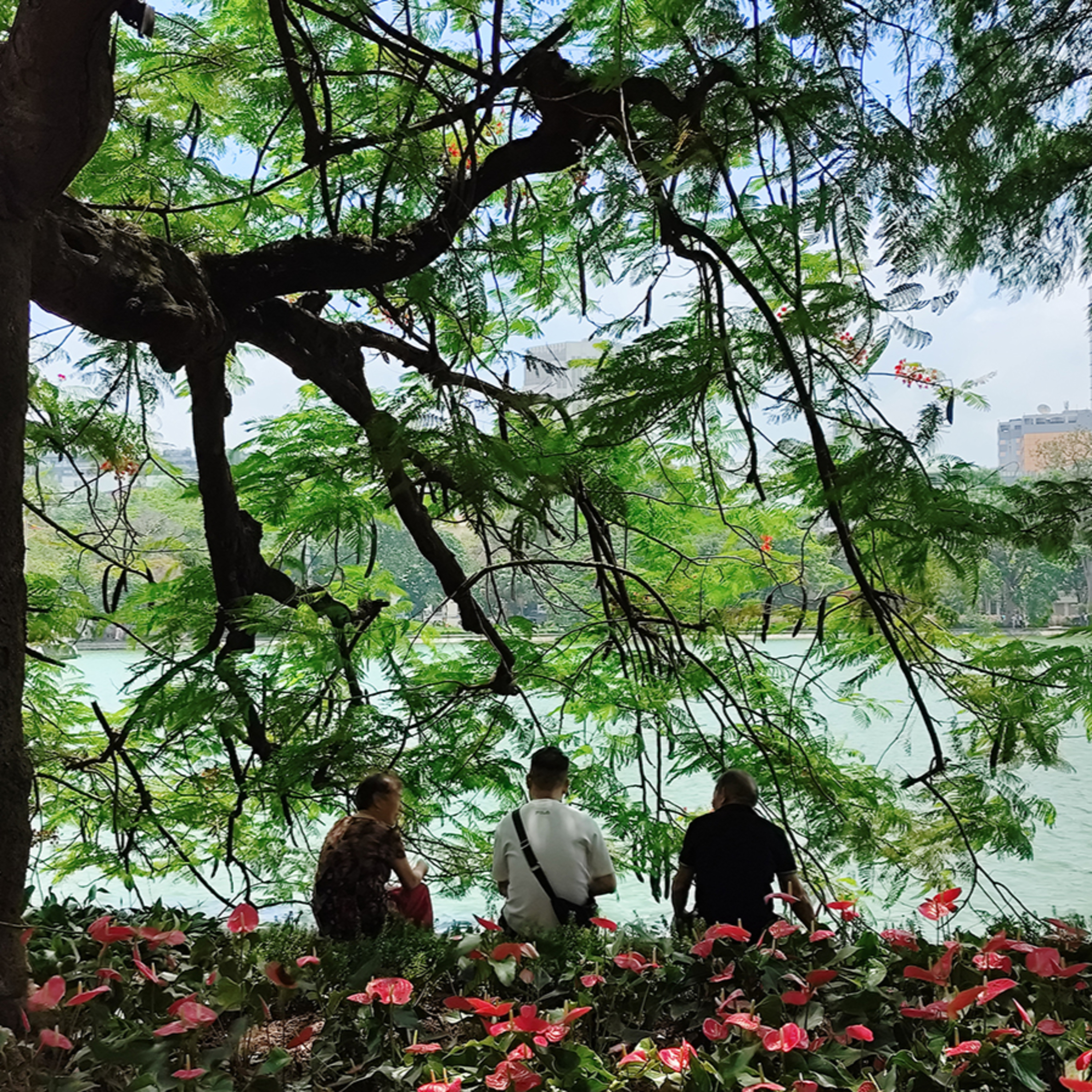 Bộ hành qua phố: Hà Nội và những nhịp sống chậm